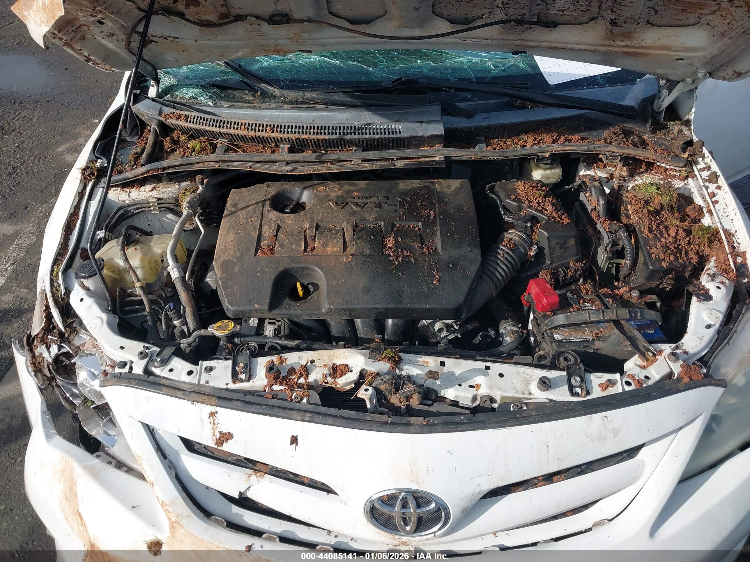 TOYOTA COROLLA image 10