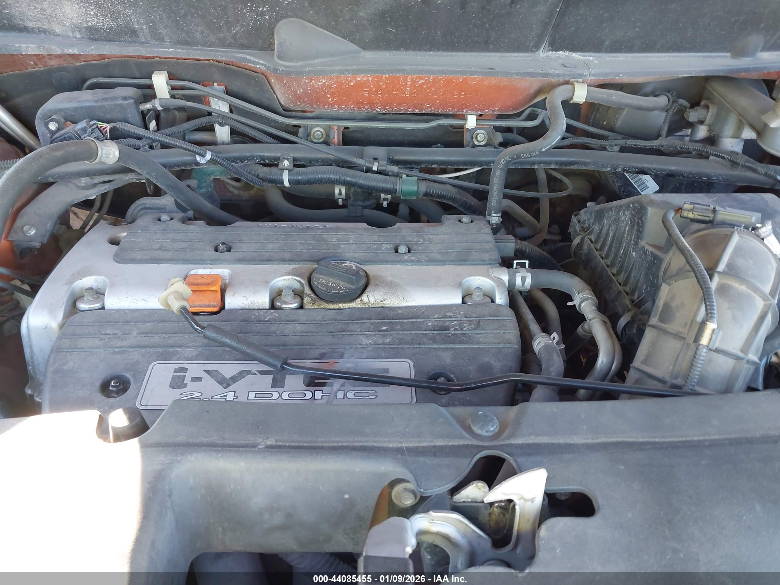 HONDA ELEMENT image 10