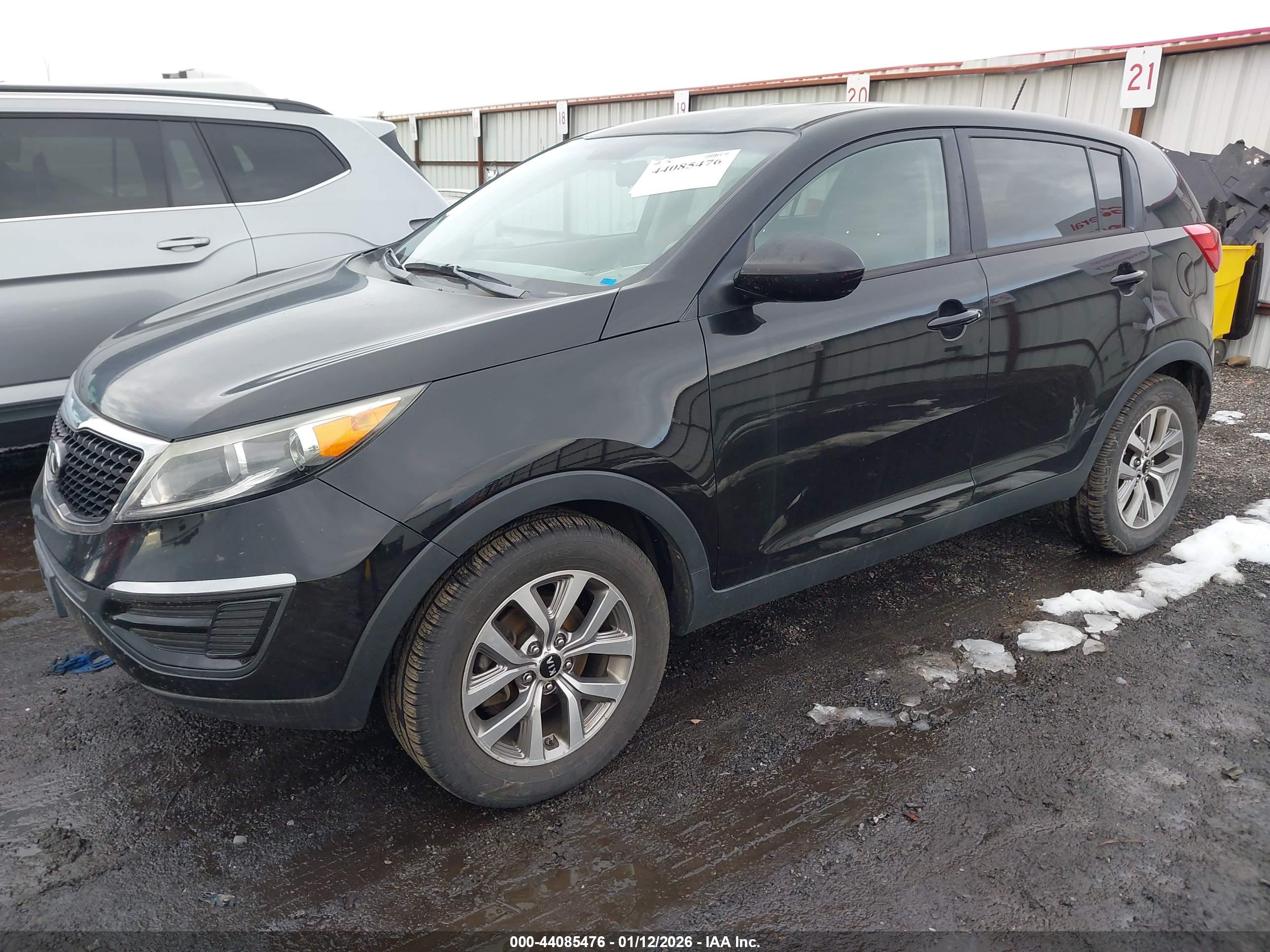 KIA SPORTAGE image 2