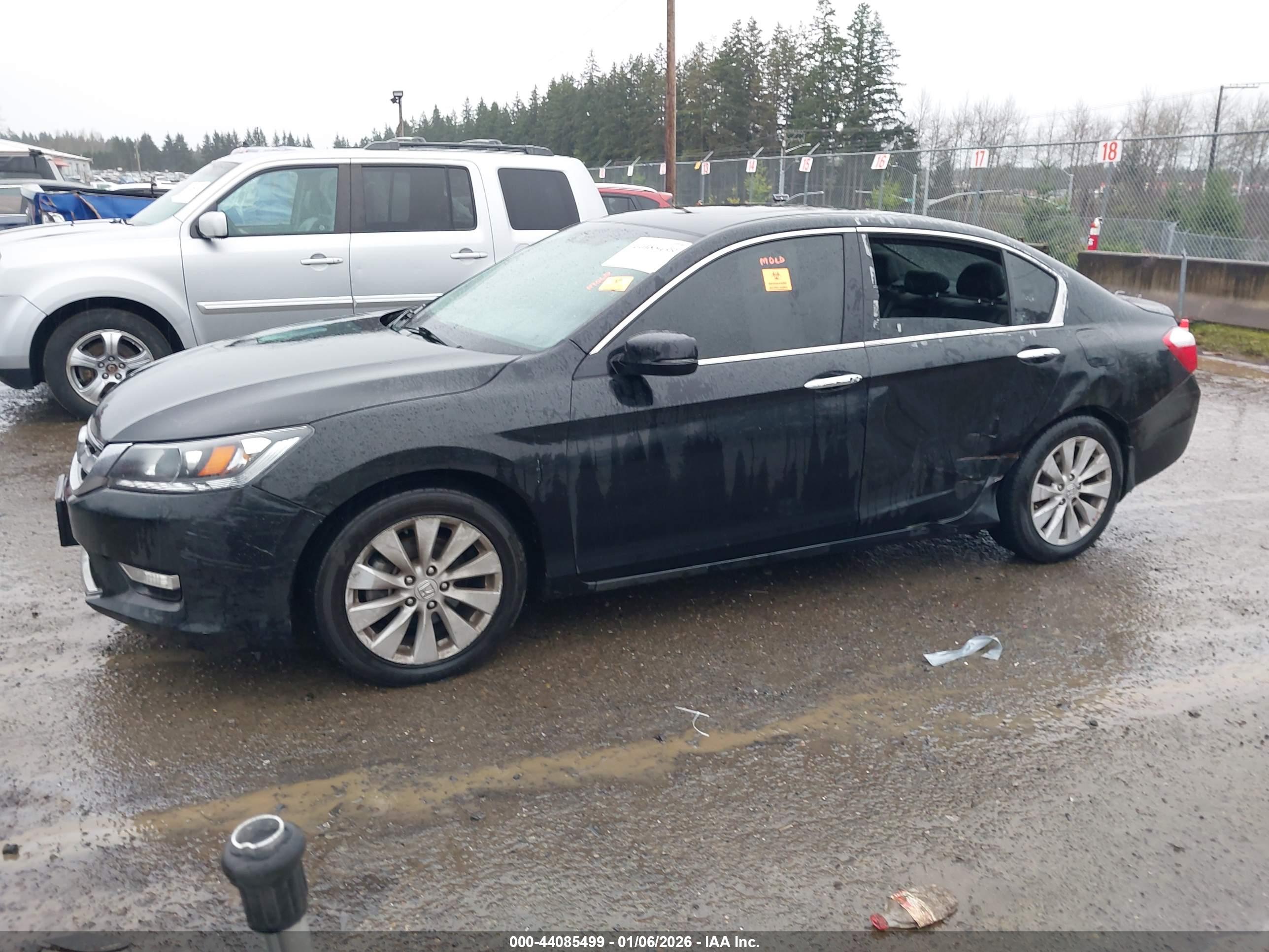 HONDA ACCORD image 2