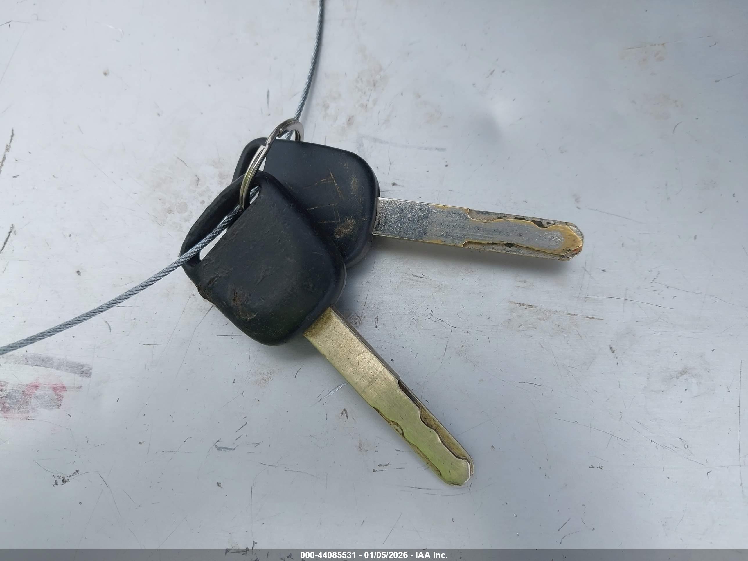 HONDA ELEMENT image 11