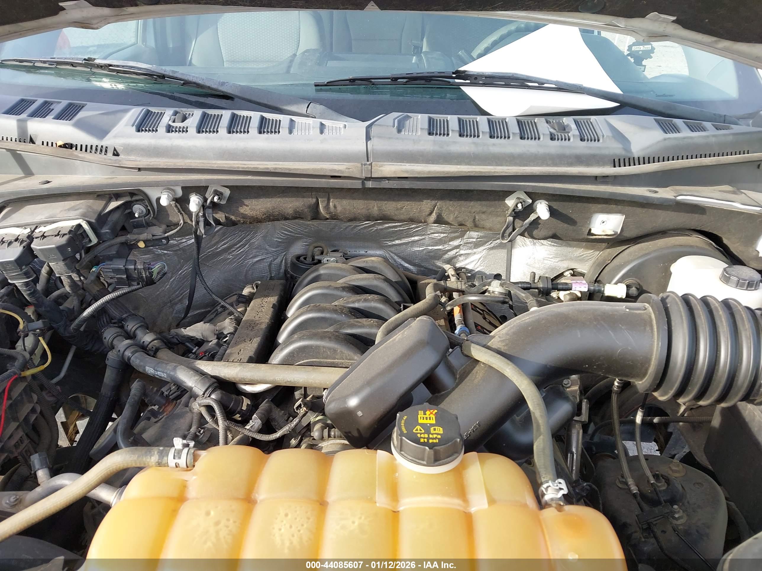 FORD F-150 image 10