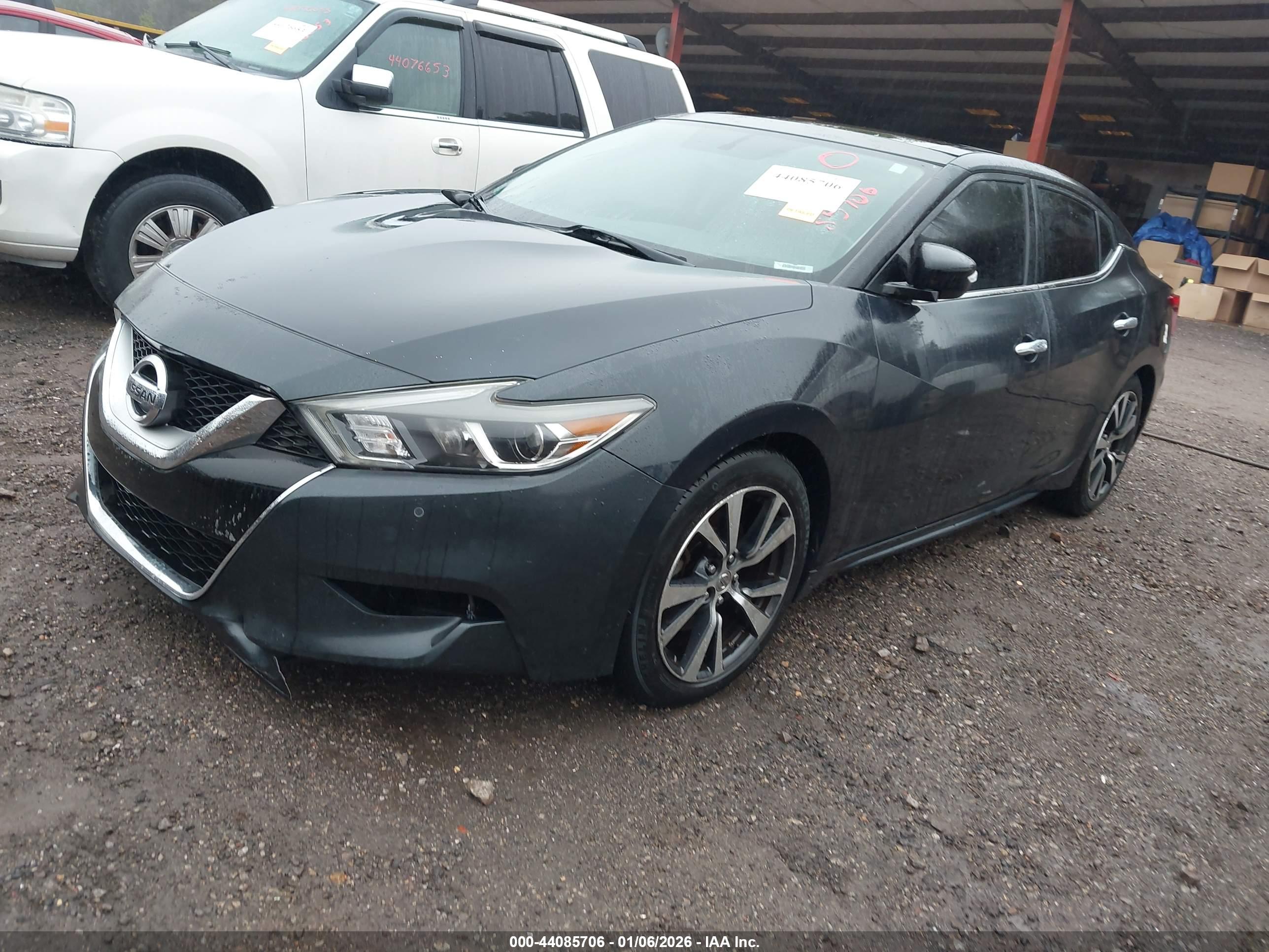 NISSAN MAXIMA image 2
