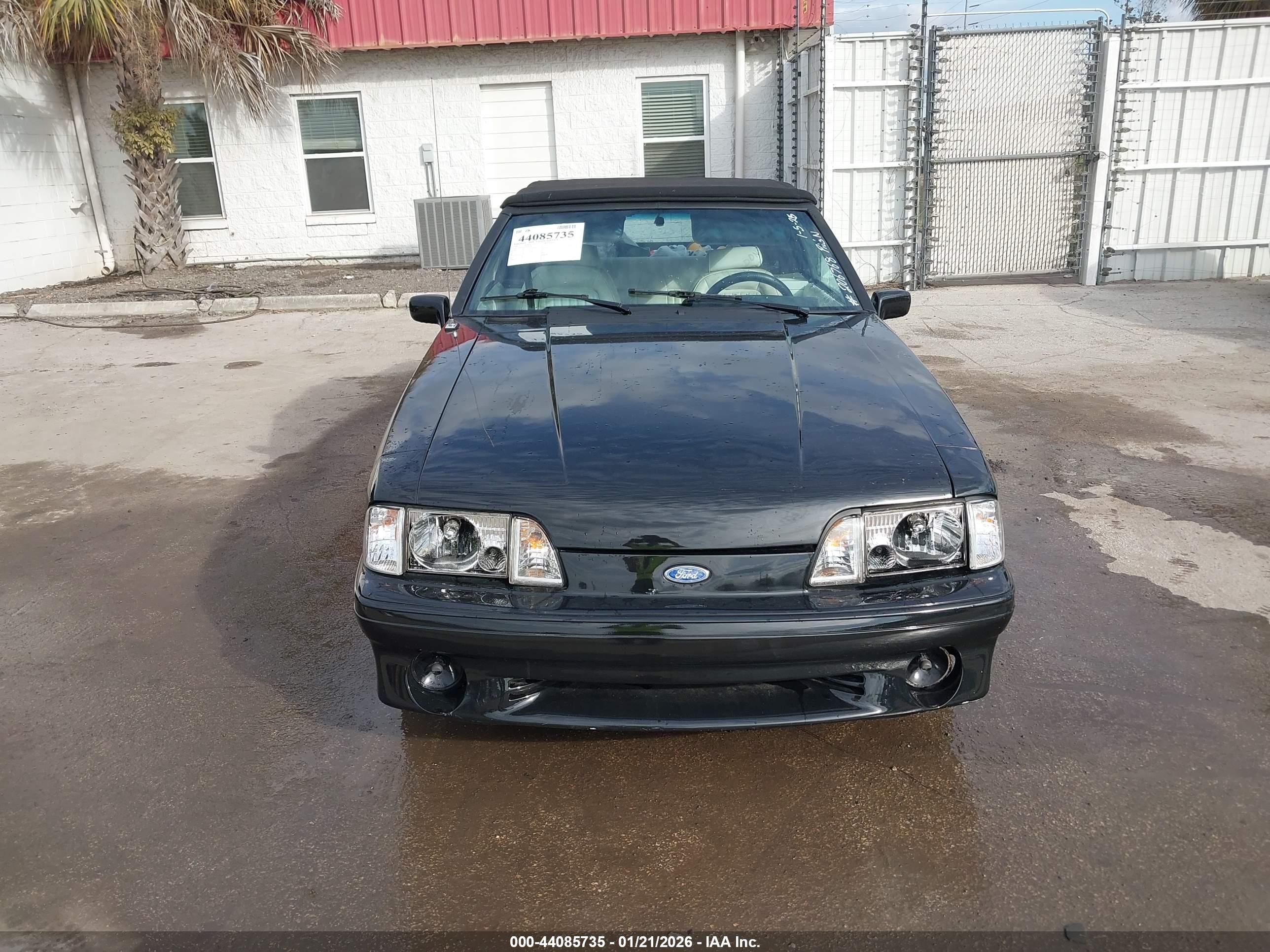 FORD MUSTANG image 6