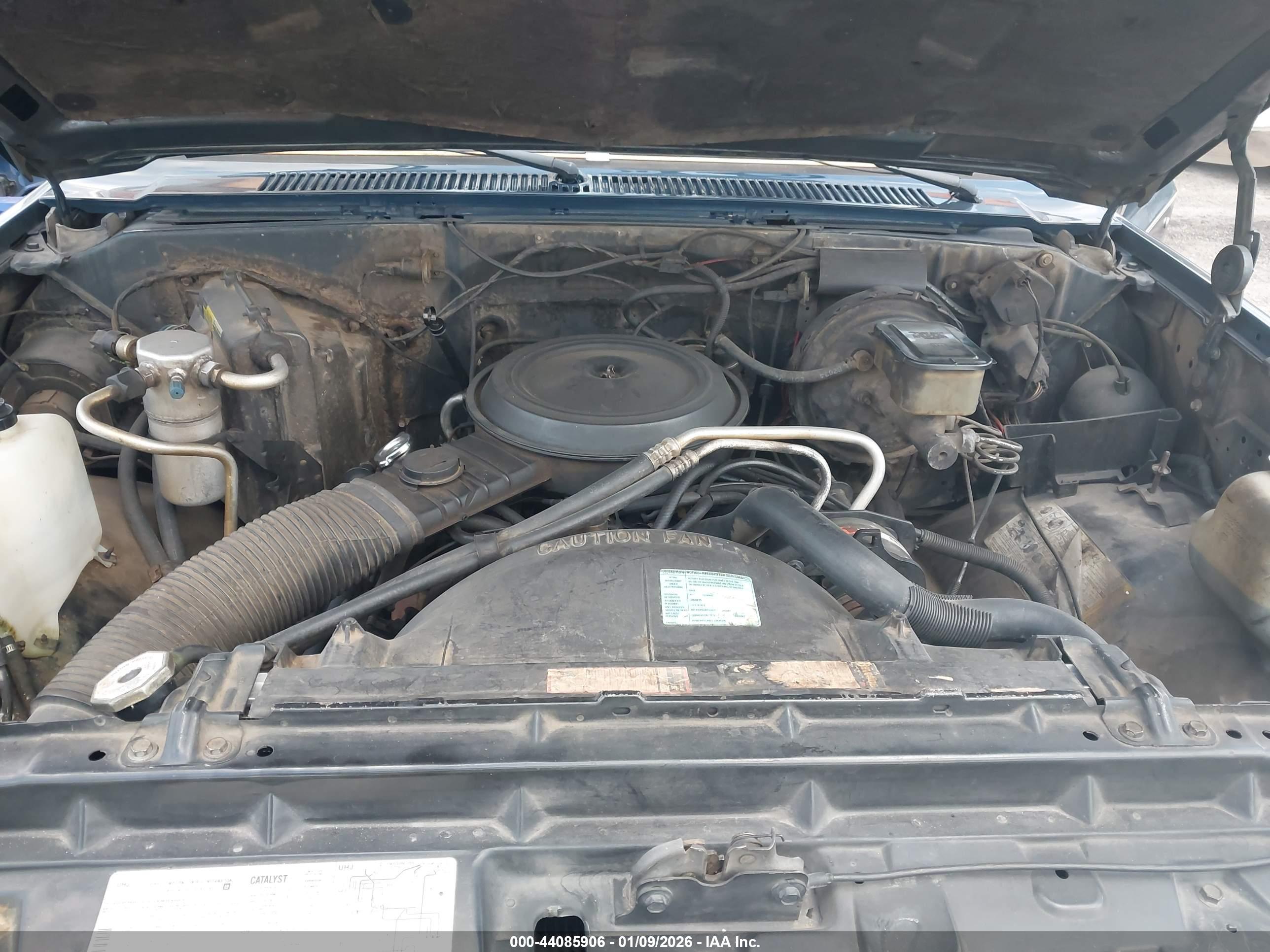 CHEVROLET C10 image 10