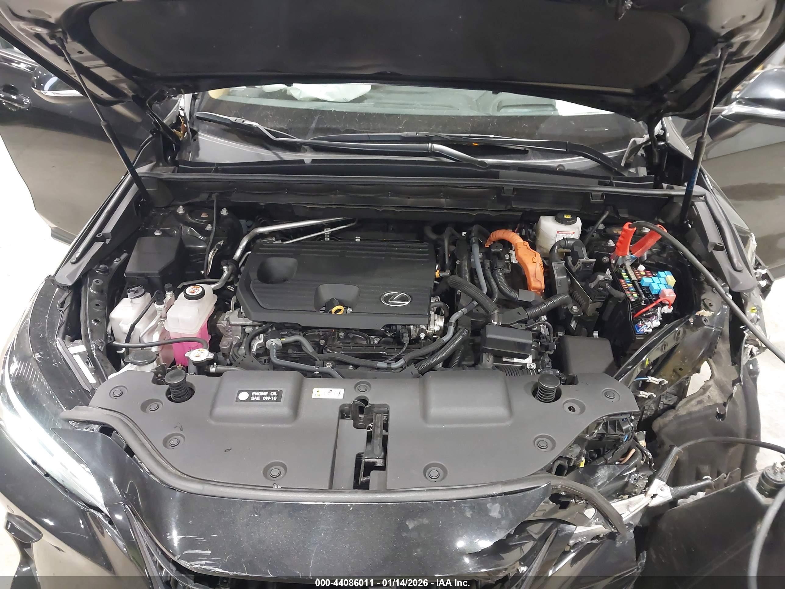 LEXUS NX image 10