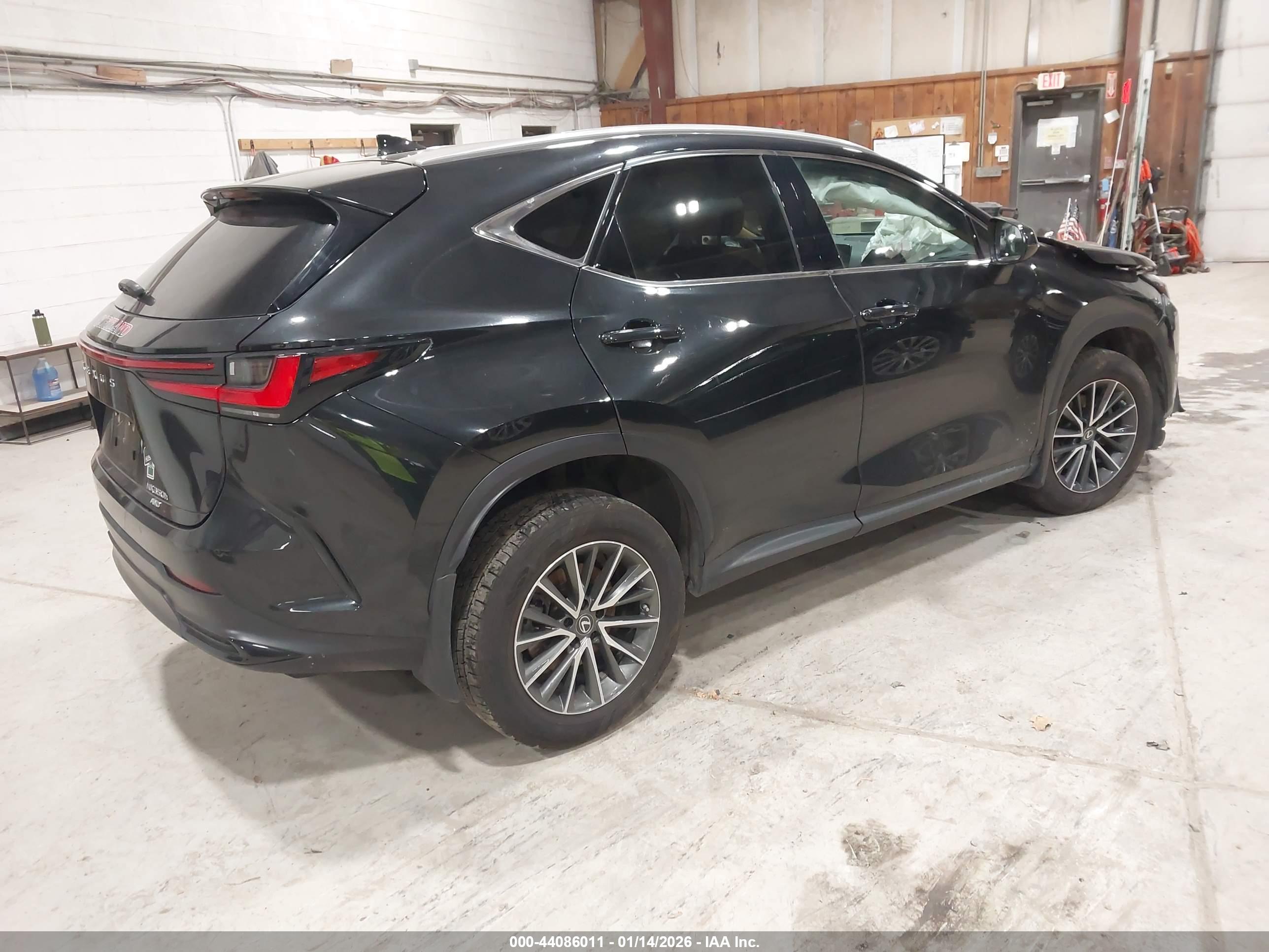 LEXUS NX image 4