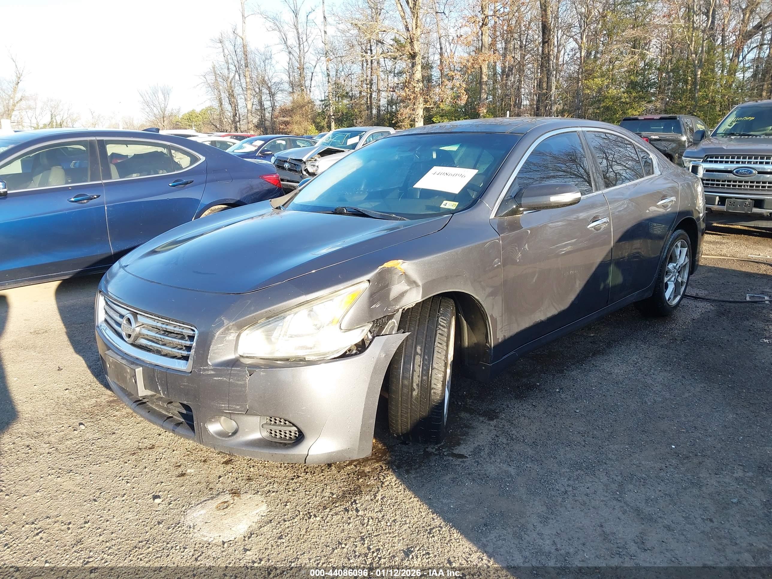NISSAN MAXIMA image 2
