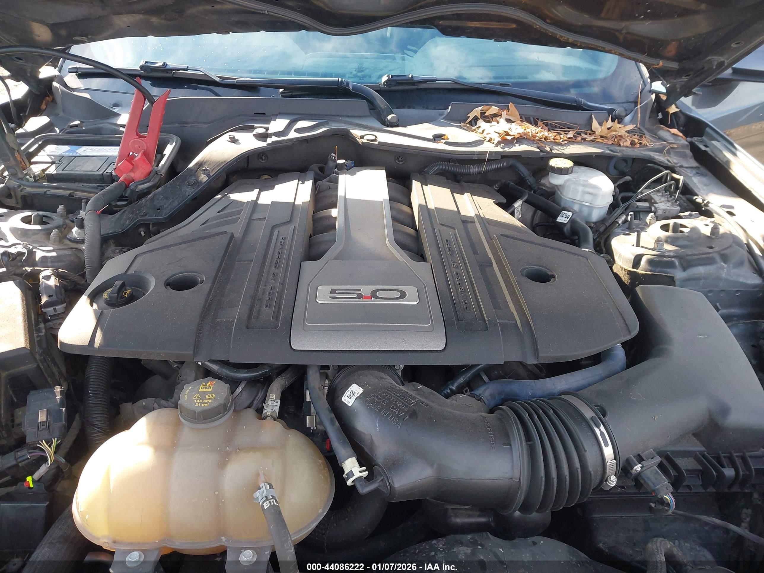 FORD MUSTANG image 10