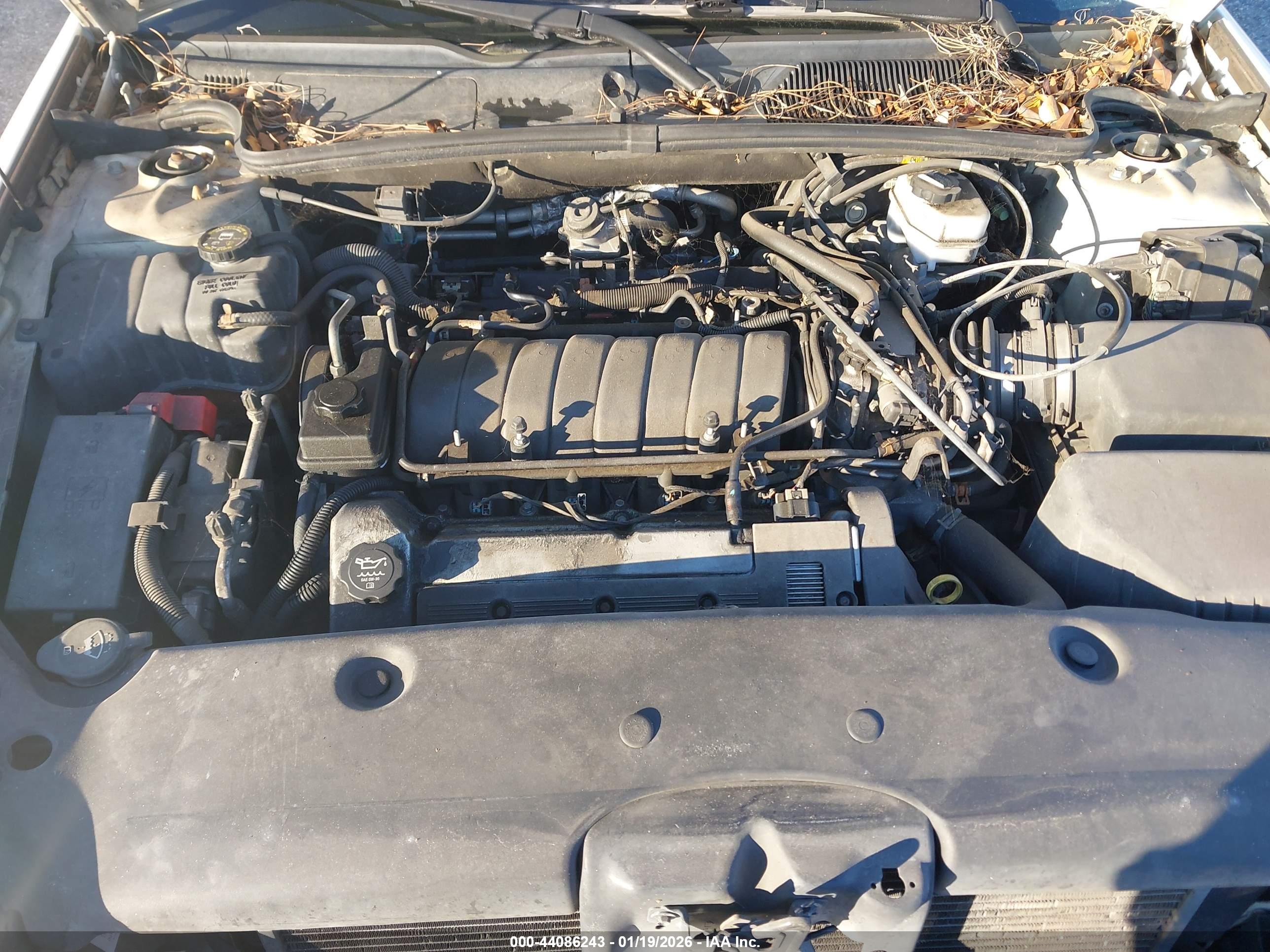 CADILLAC DEVILLE image 10