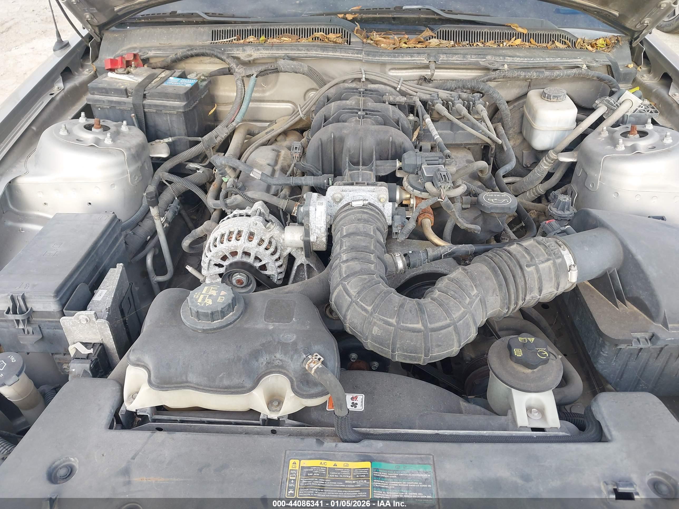 FORD MUSTANG image 10