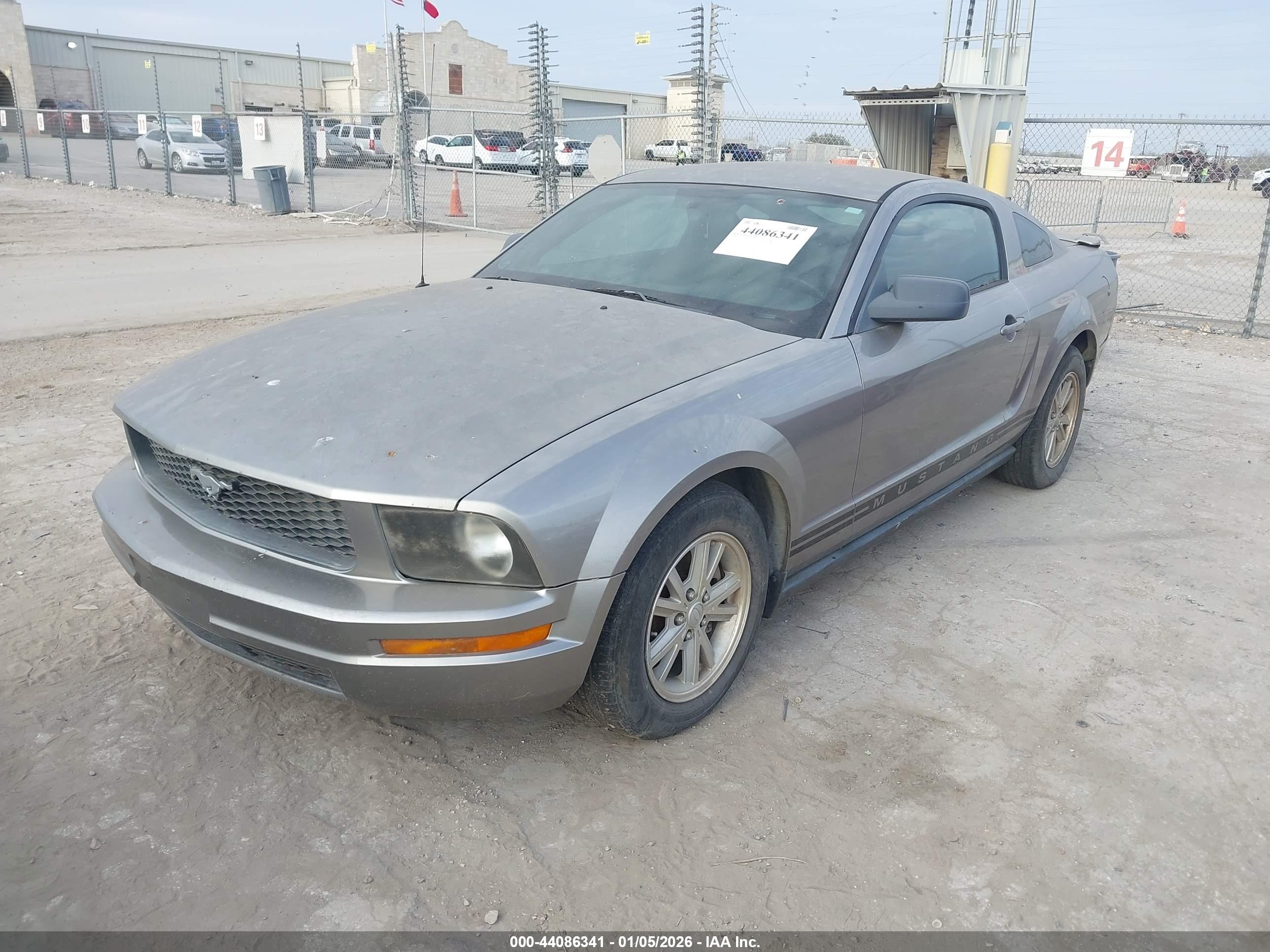 FORD MUSTANG image 2