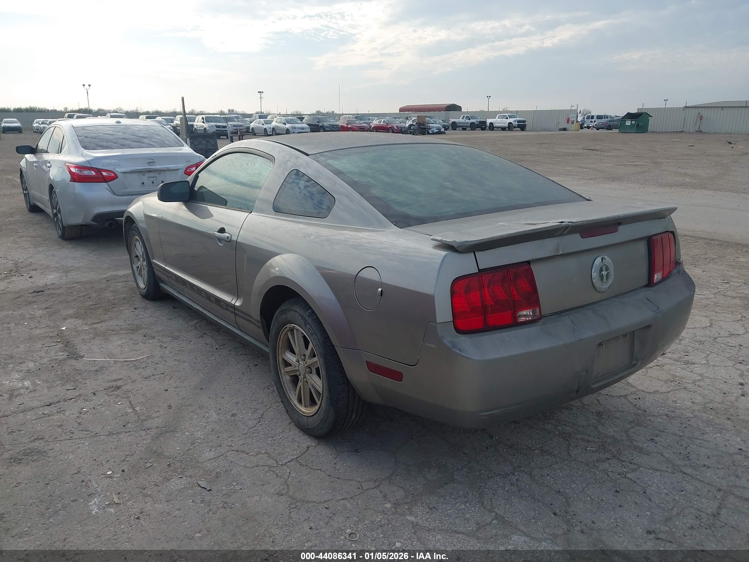 FORD MUSTANG image 3