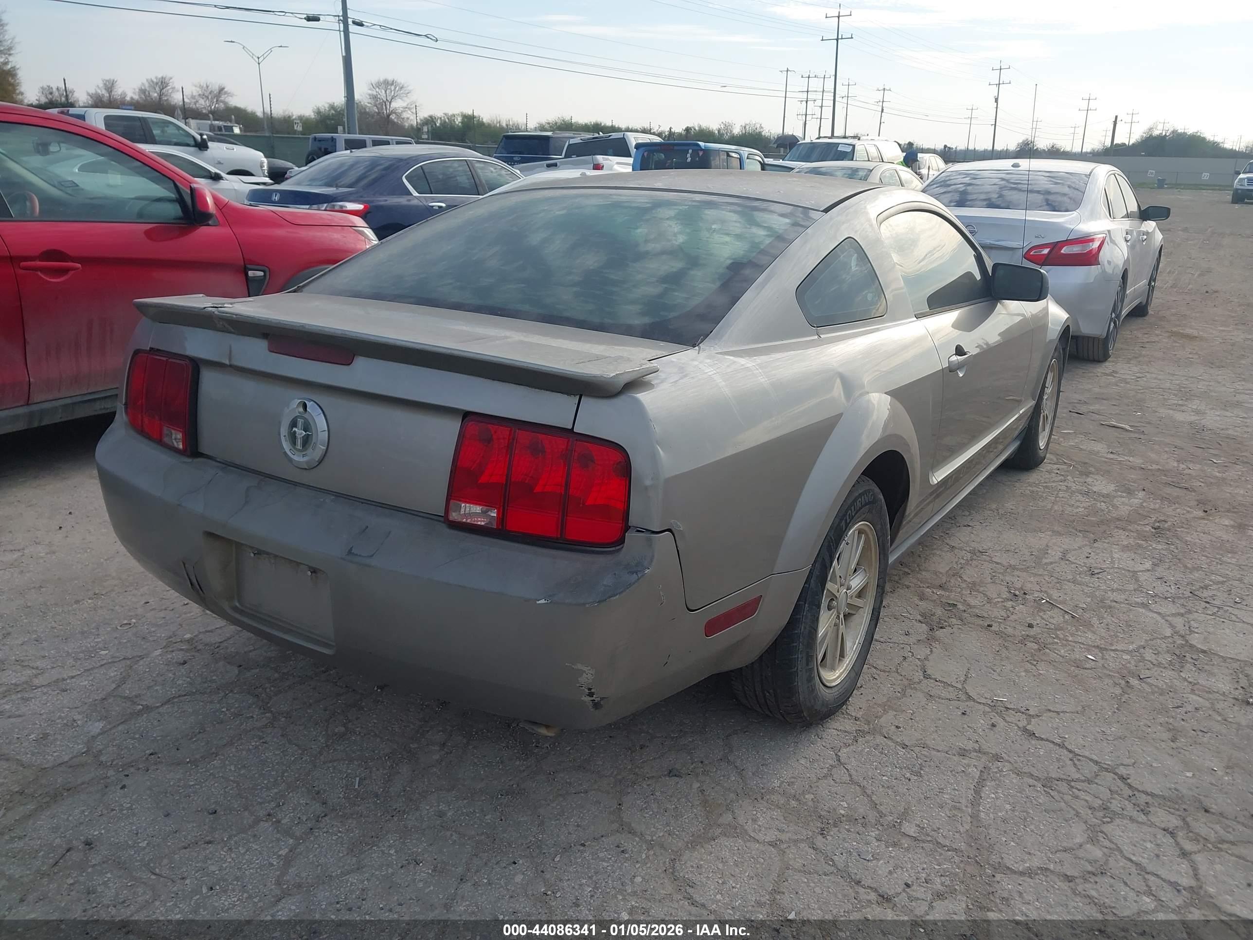 FORD MUSTANG image 4