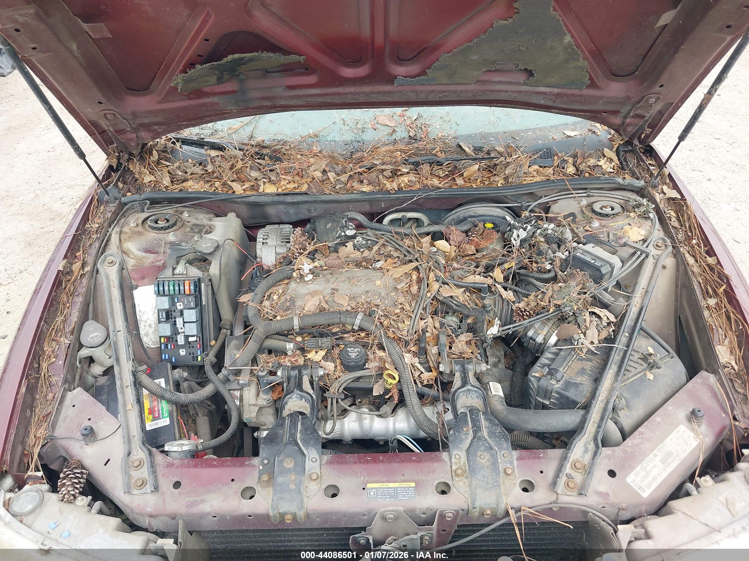 BUICK CENTURY image 10