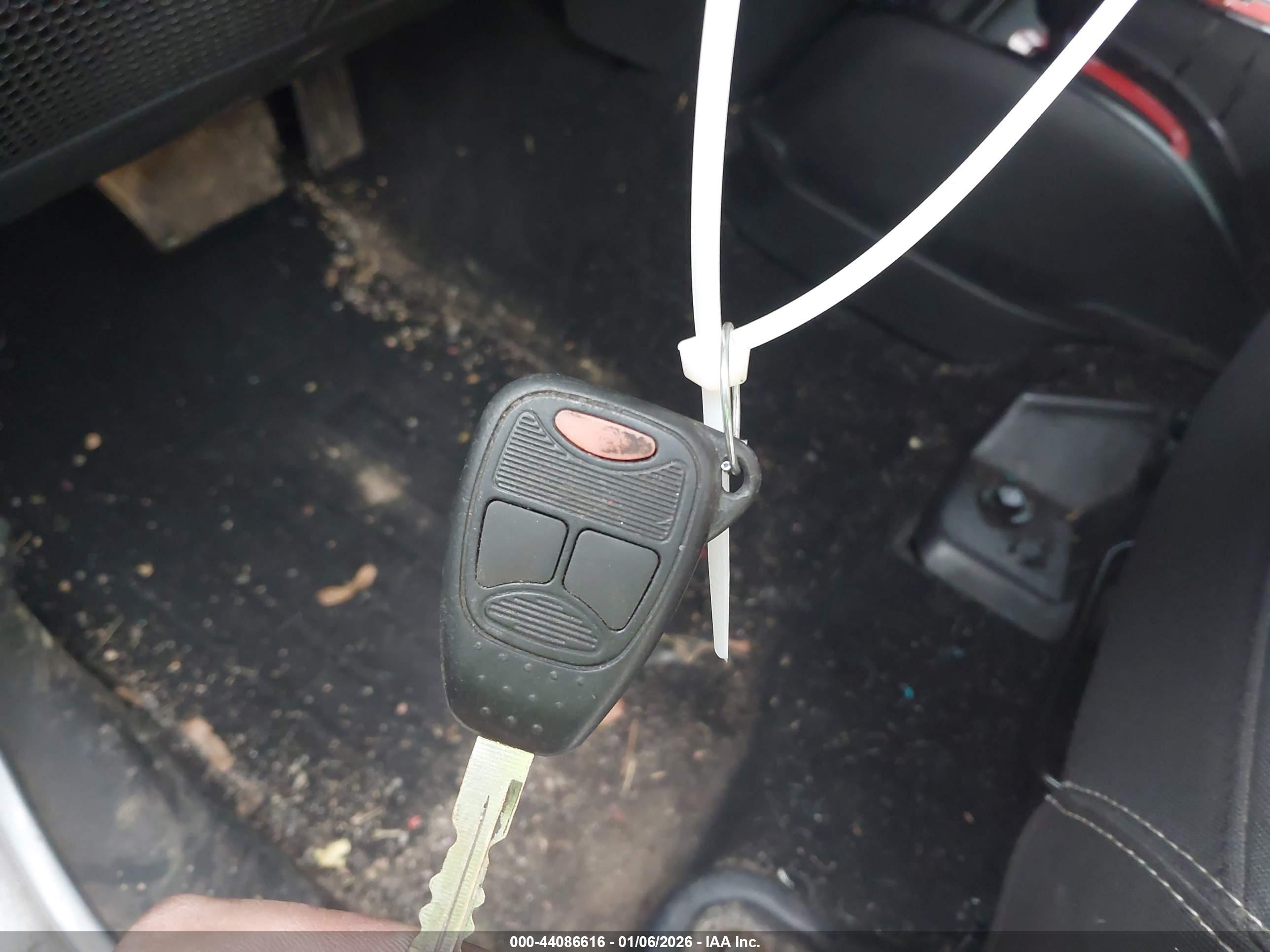 JEEP WRANGLER image 11