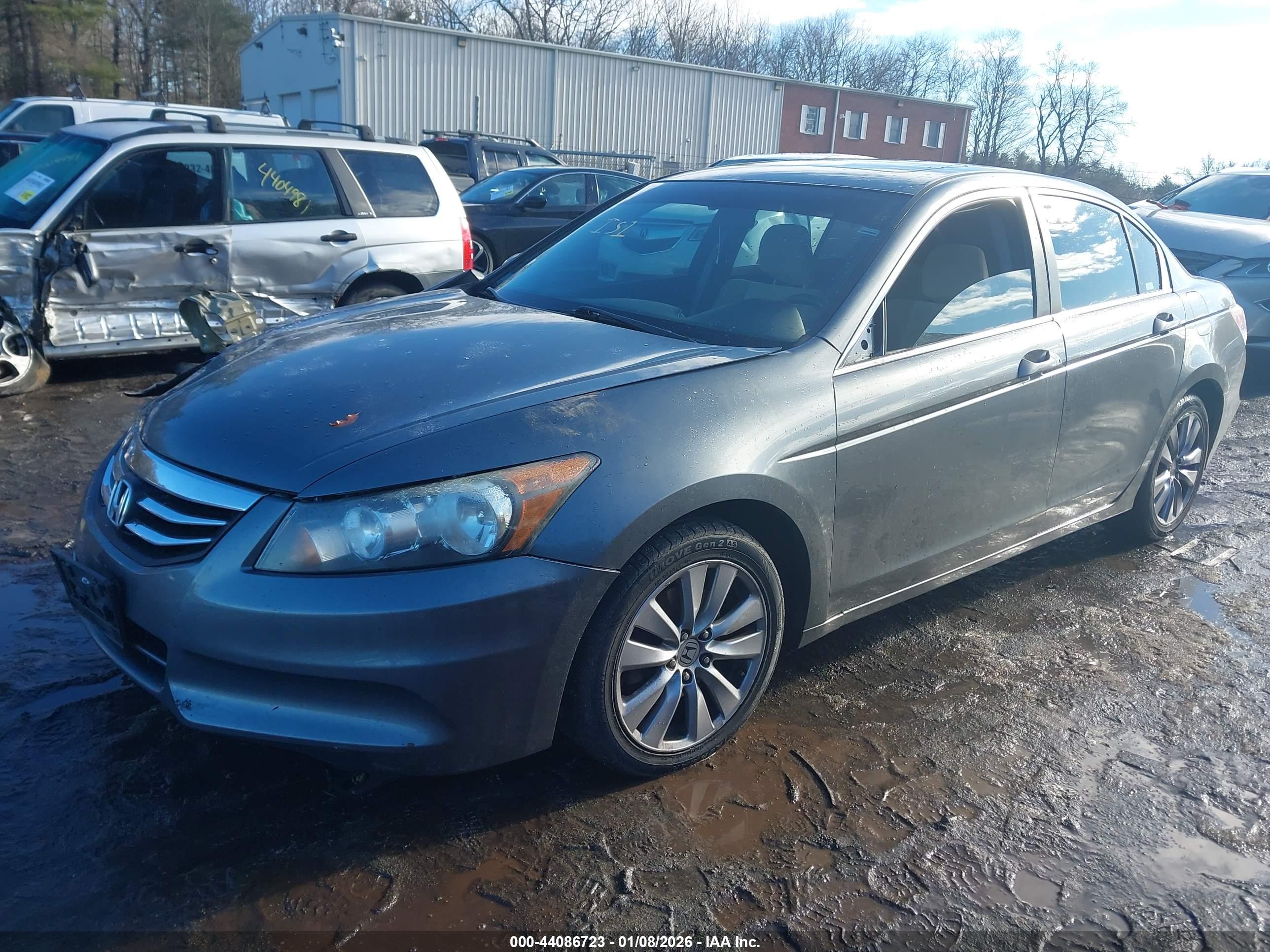 HONDA ACCORD image 2