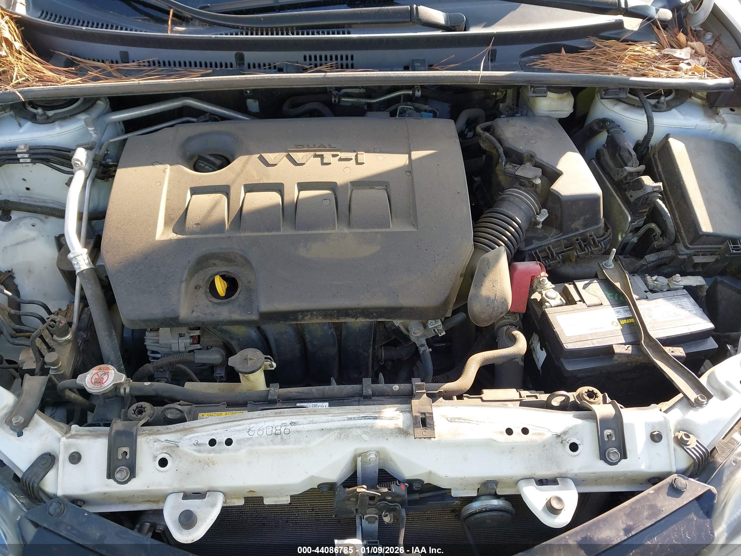 TOYOTA COROLLA image 10