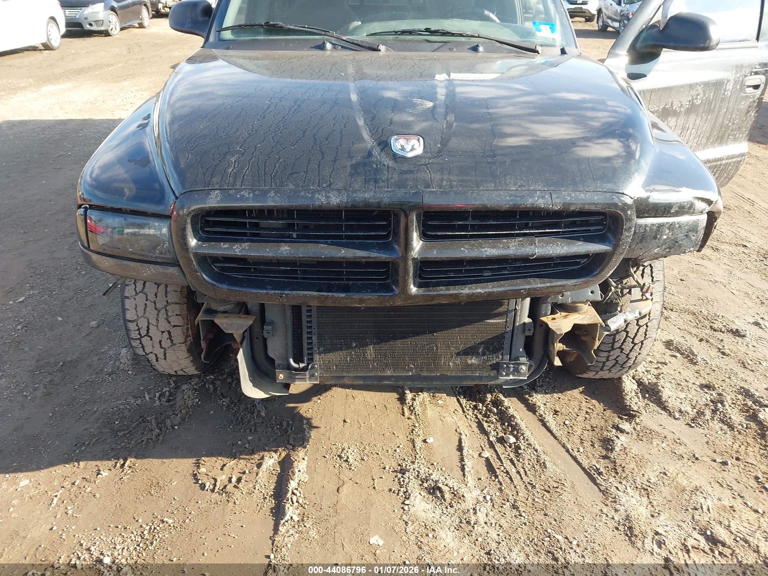 DODGE DAKOTA image 6