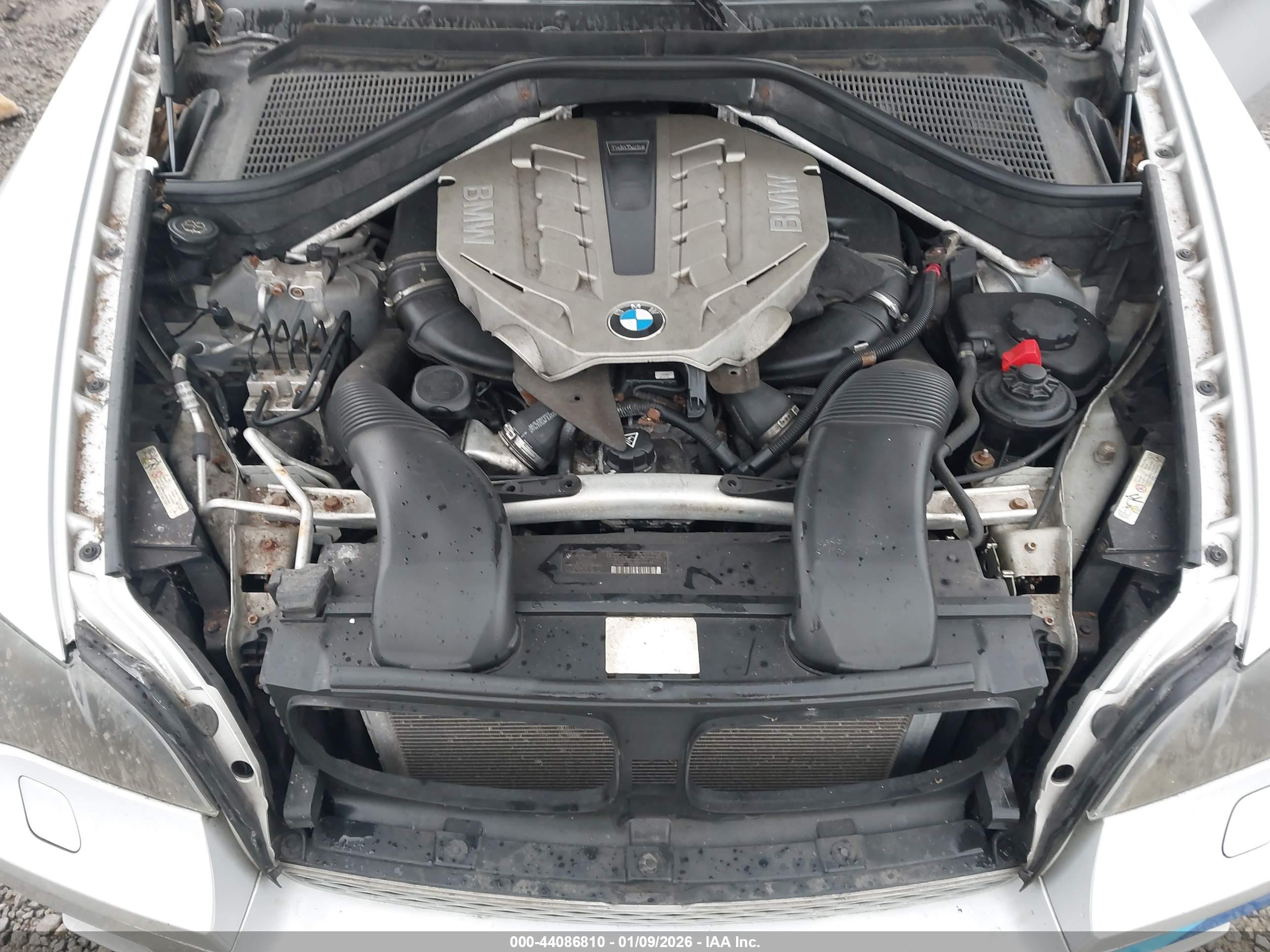 BMW X6 image 10