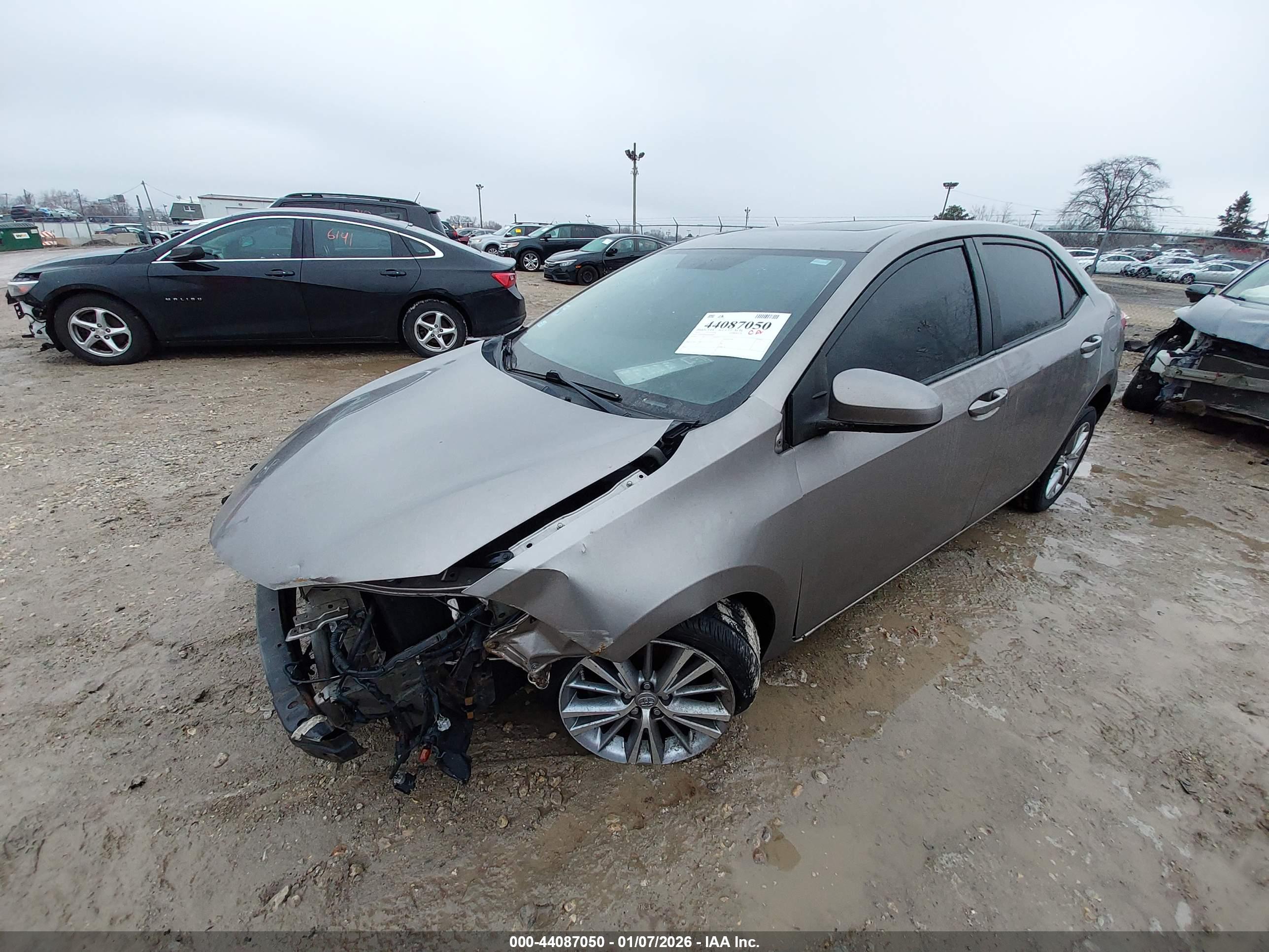 TOYOTA COROLLA image 2