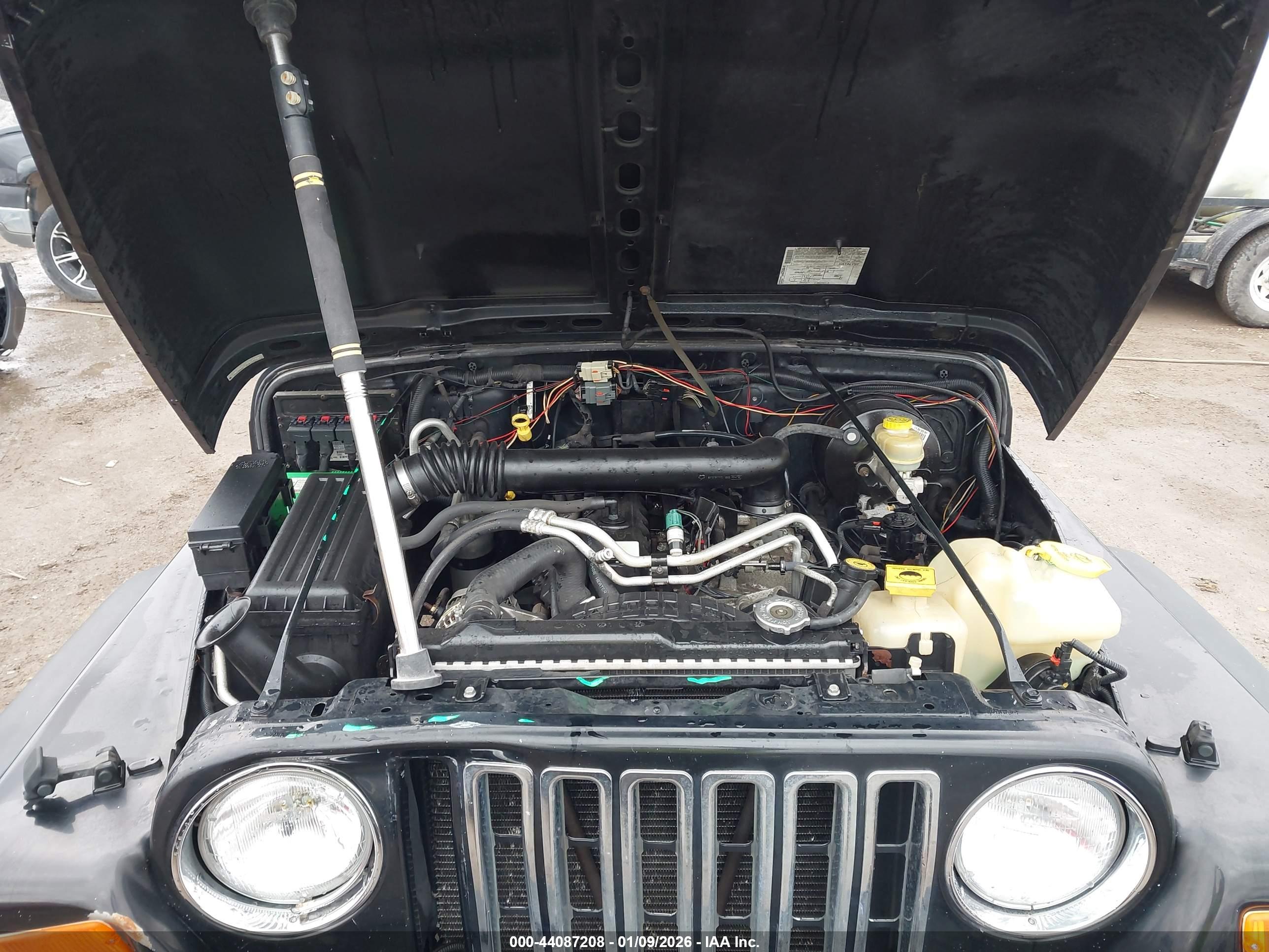 JEEP WRANGLER image 10