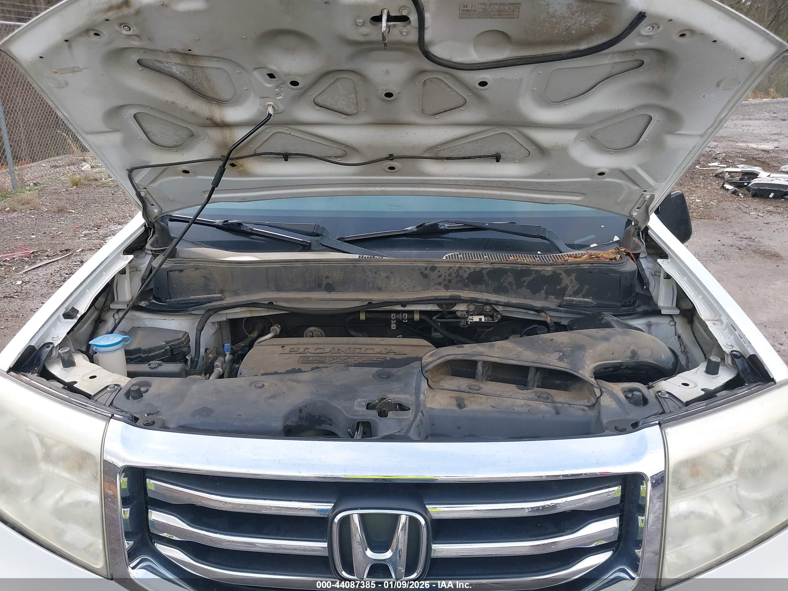 HONDA PILOT image 10