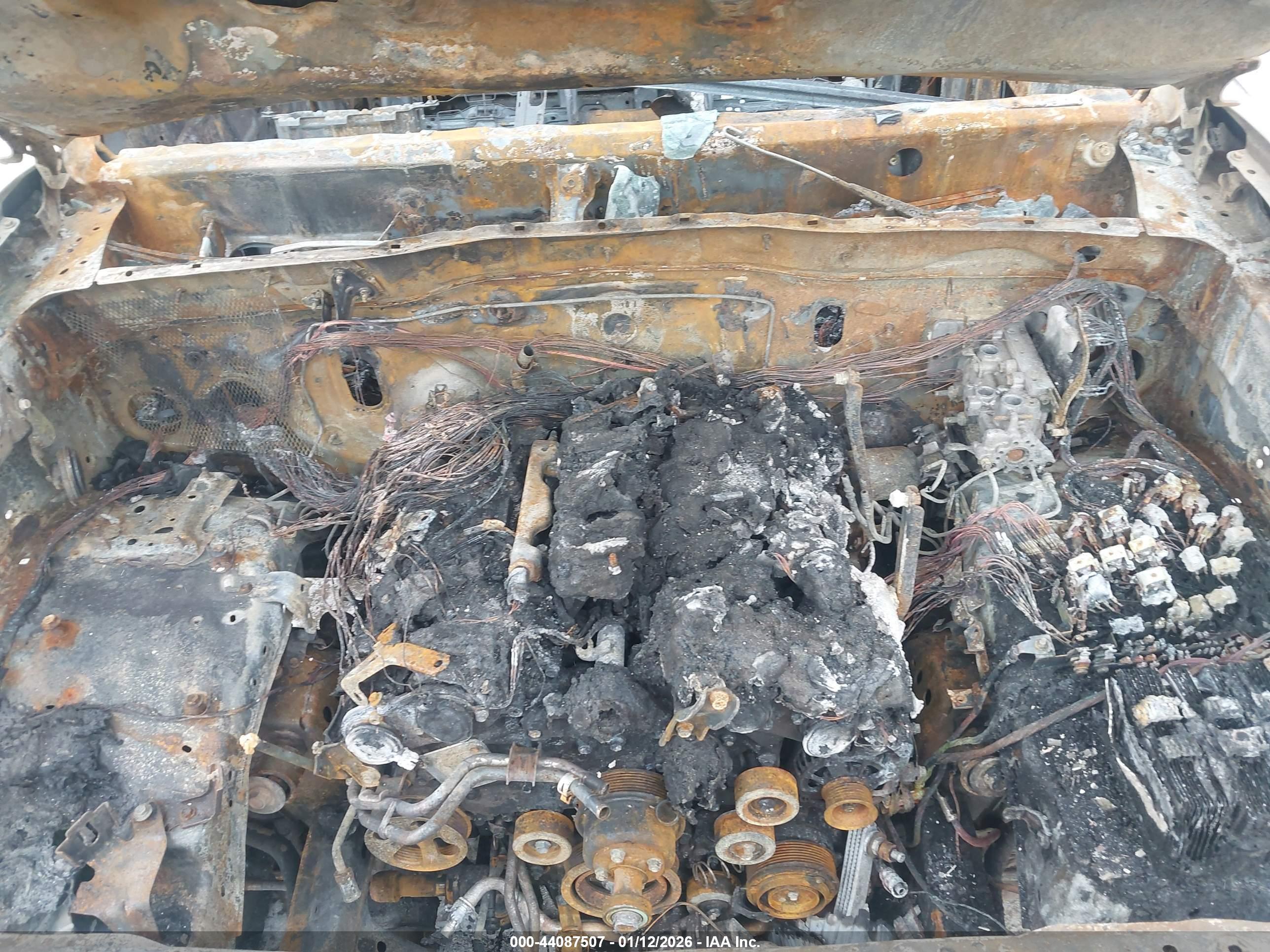 TOYOTA TACOMA image 10