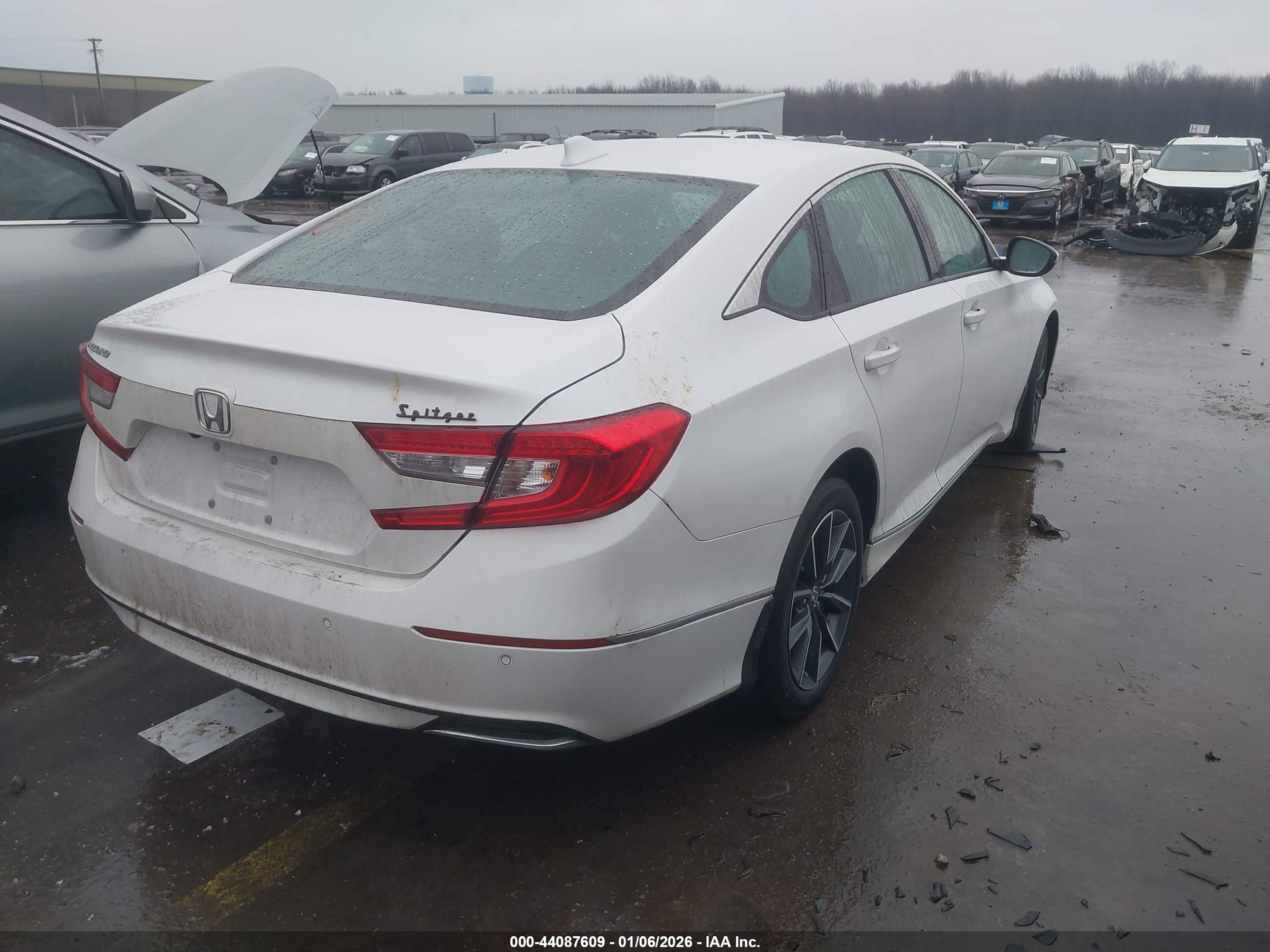 HONDA ACCORD image 4