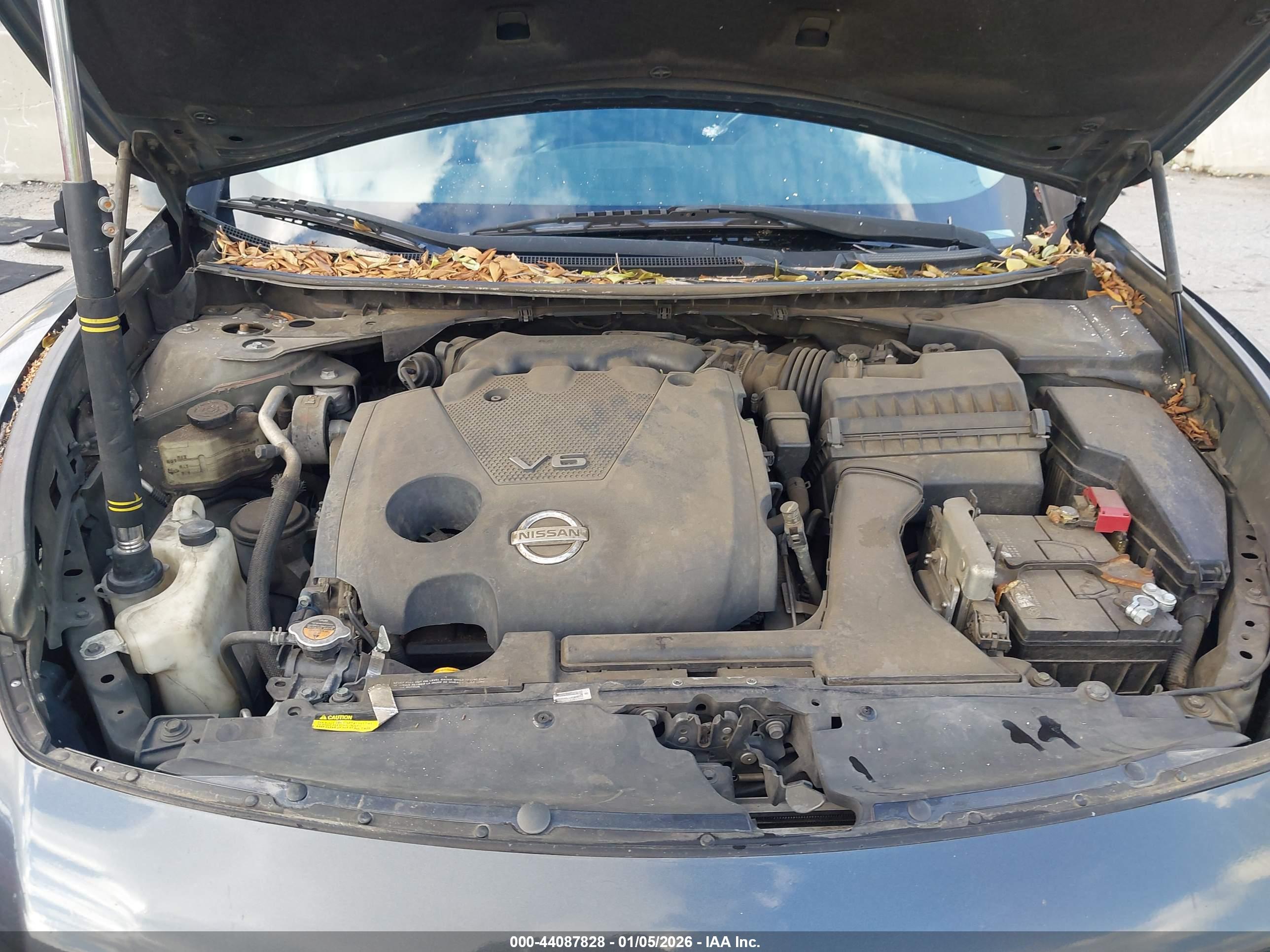 NISSAN MAXIMA image 10