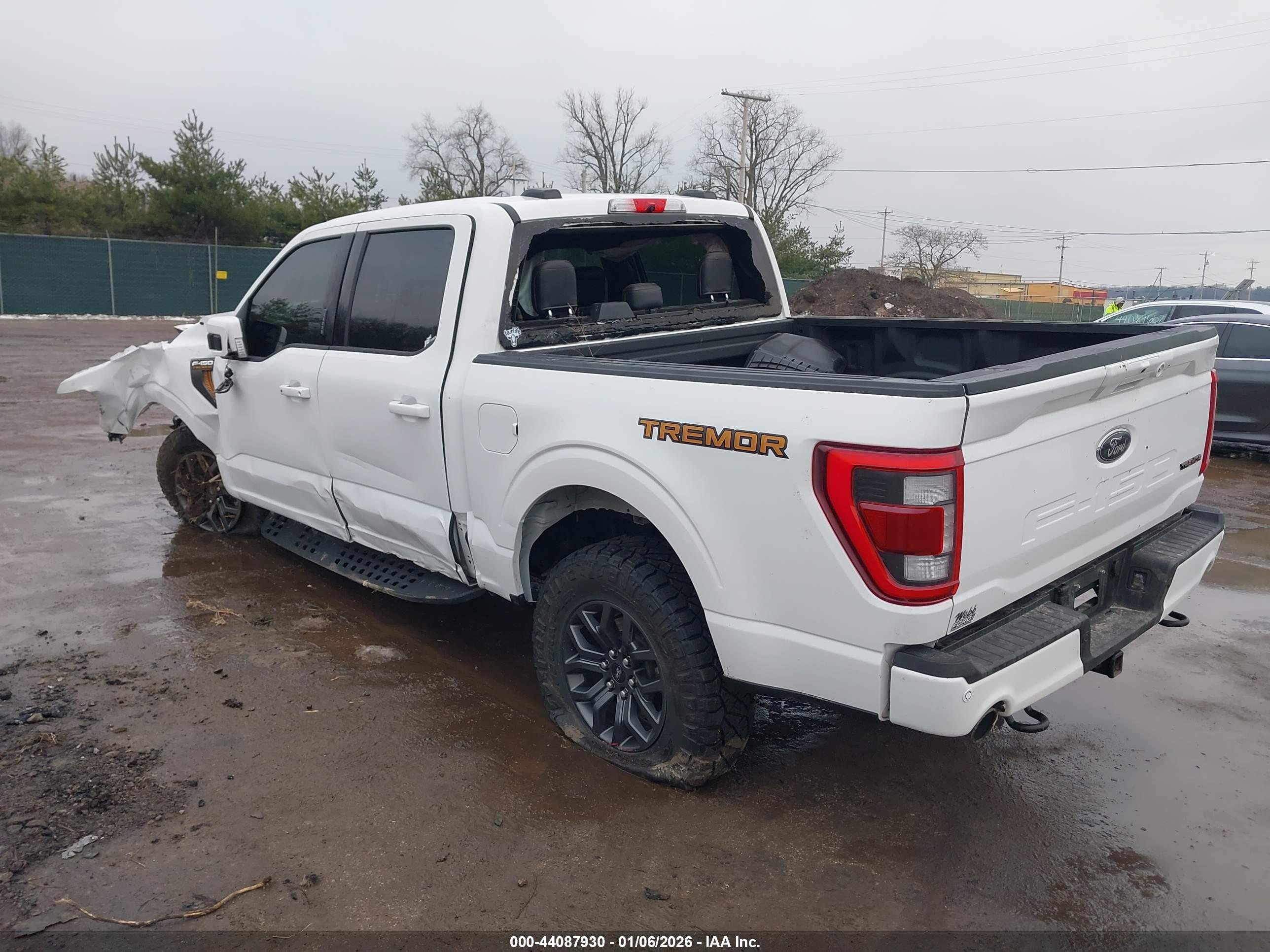 FORD F-150 image 3