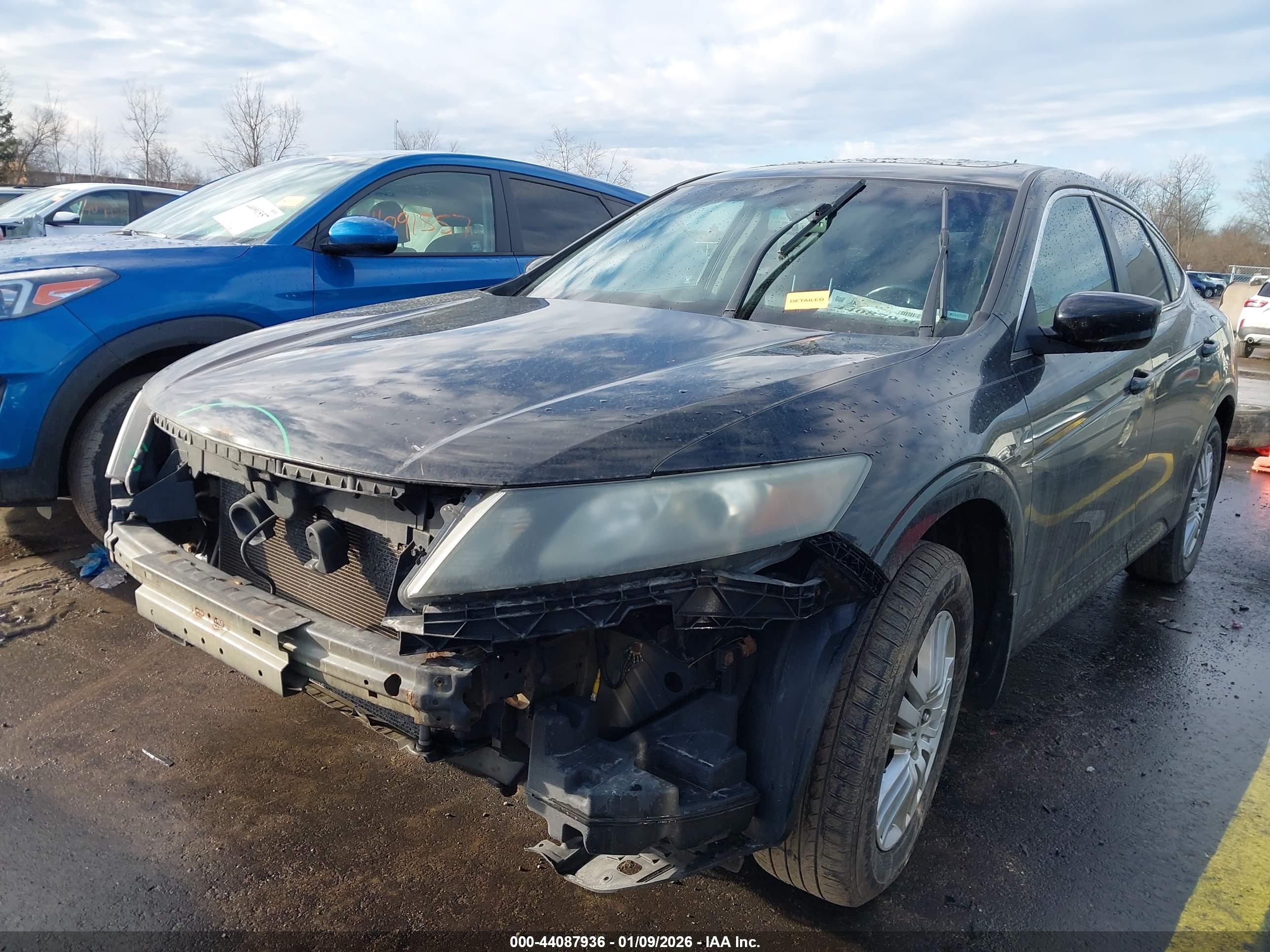 HONDA CROSSTOUR image 2