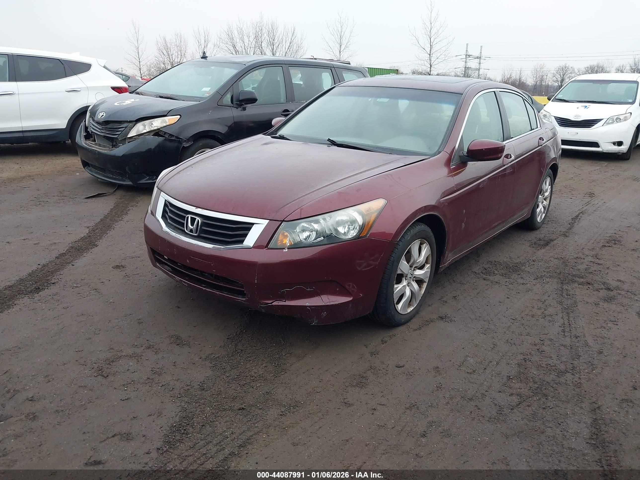 HONDA ACCORD image 2