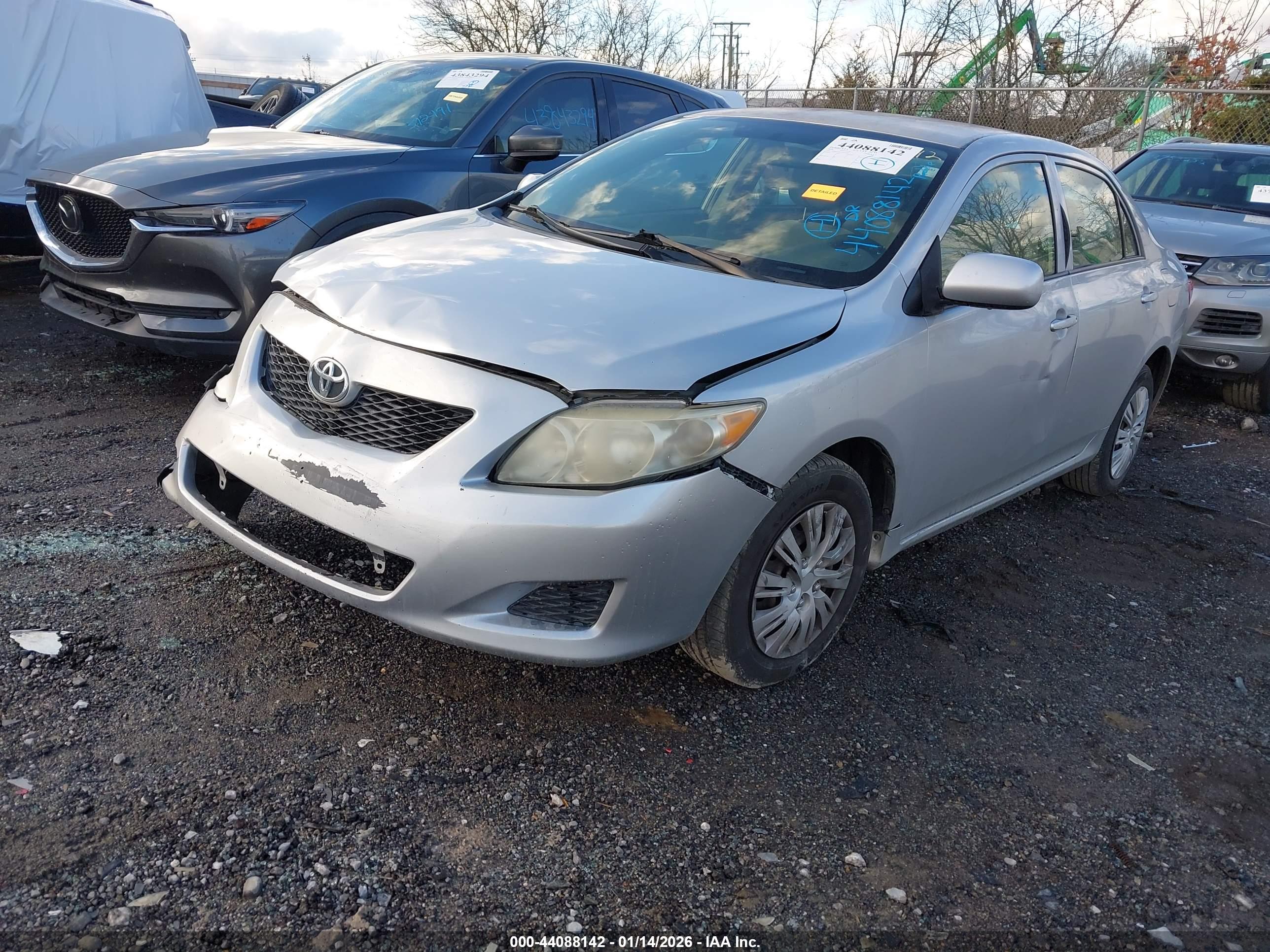 TOYOTA COROLLA image 2
