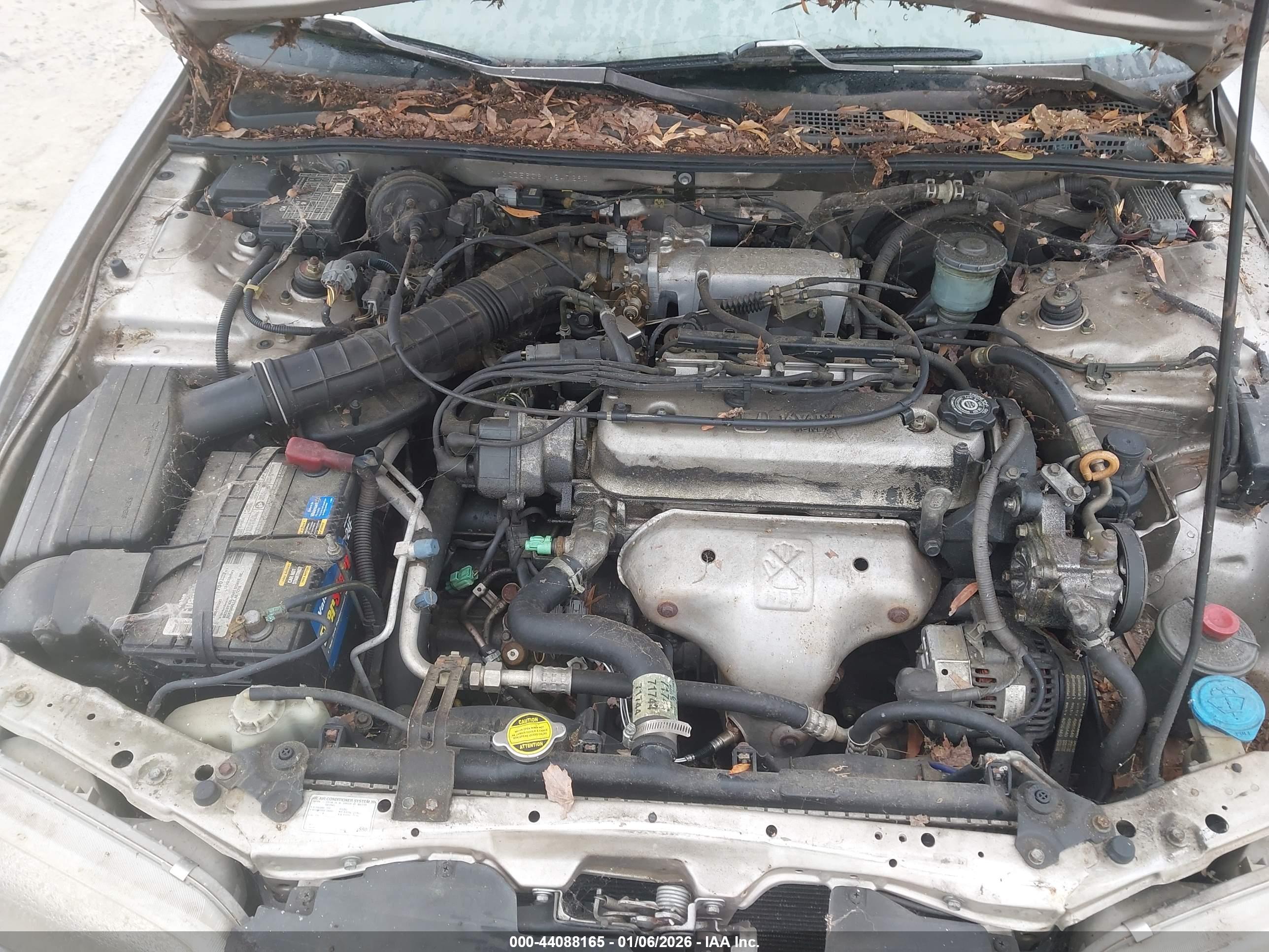 HONDA ACCORD image 10