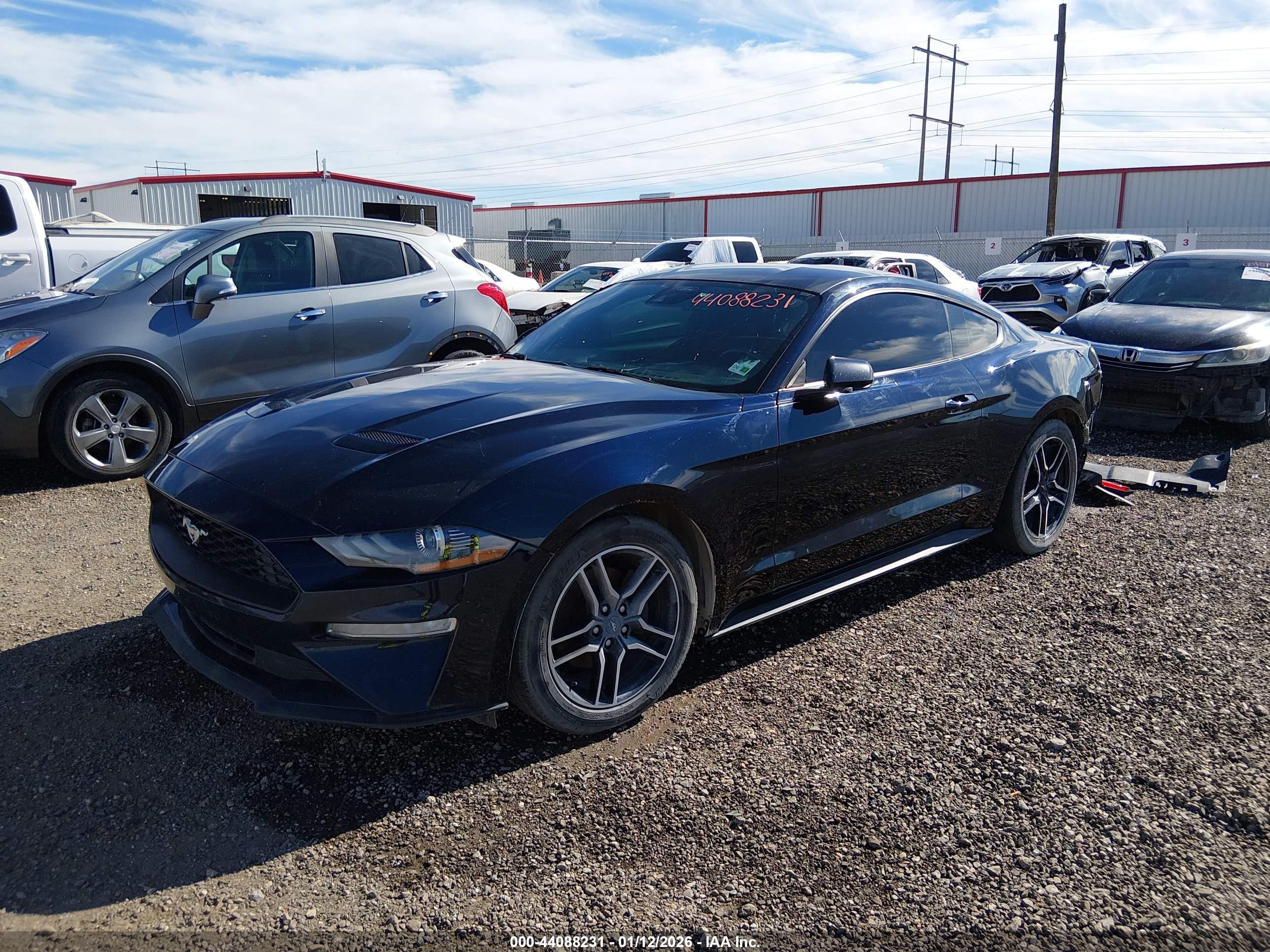 FORD MUSTANG image 2