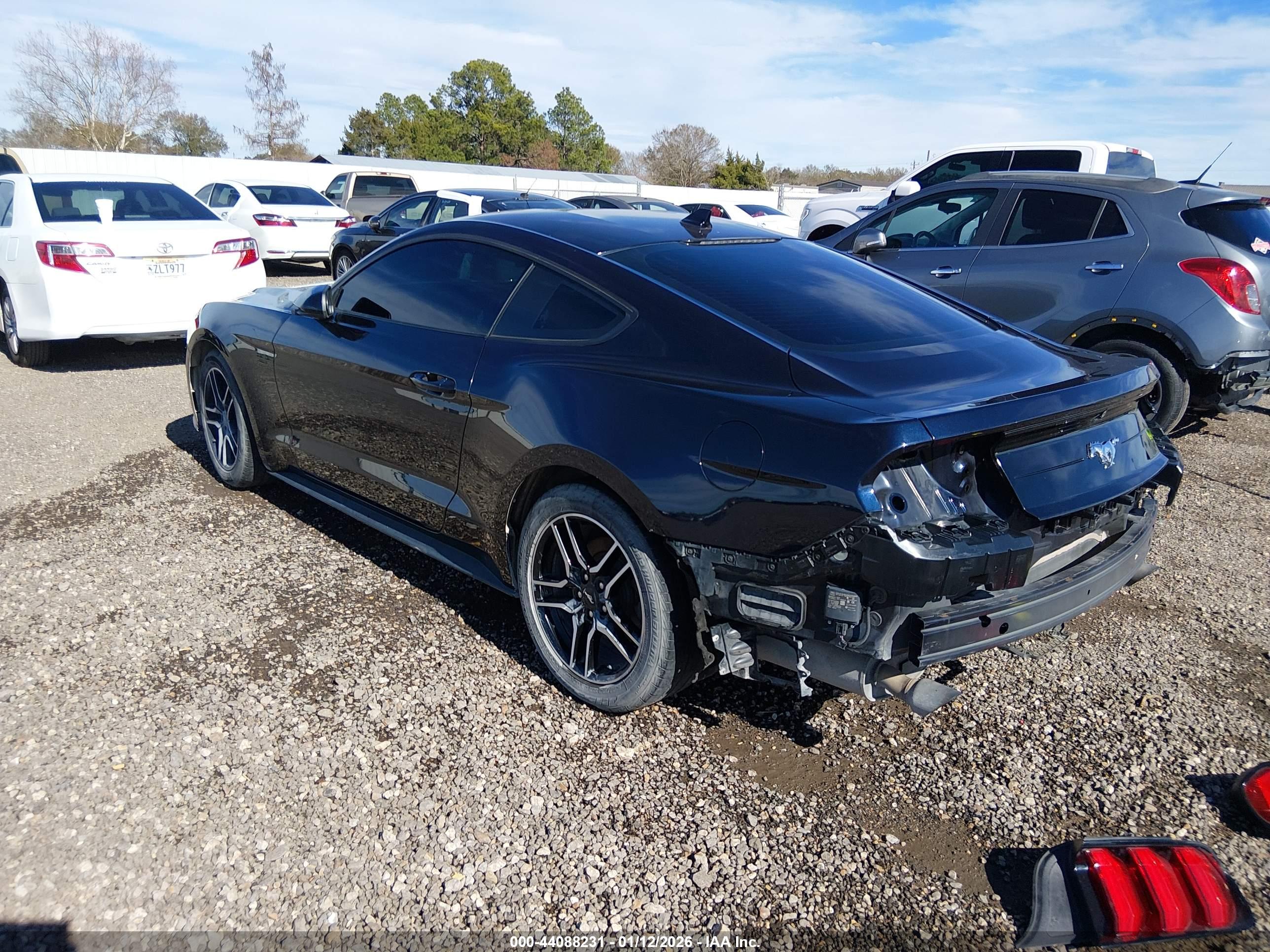FORD MUSTANG image 3