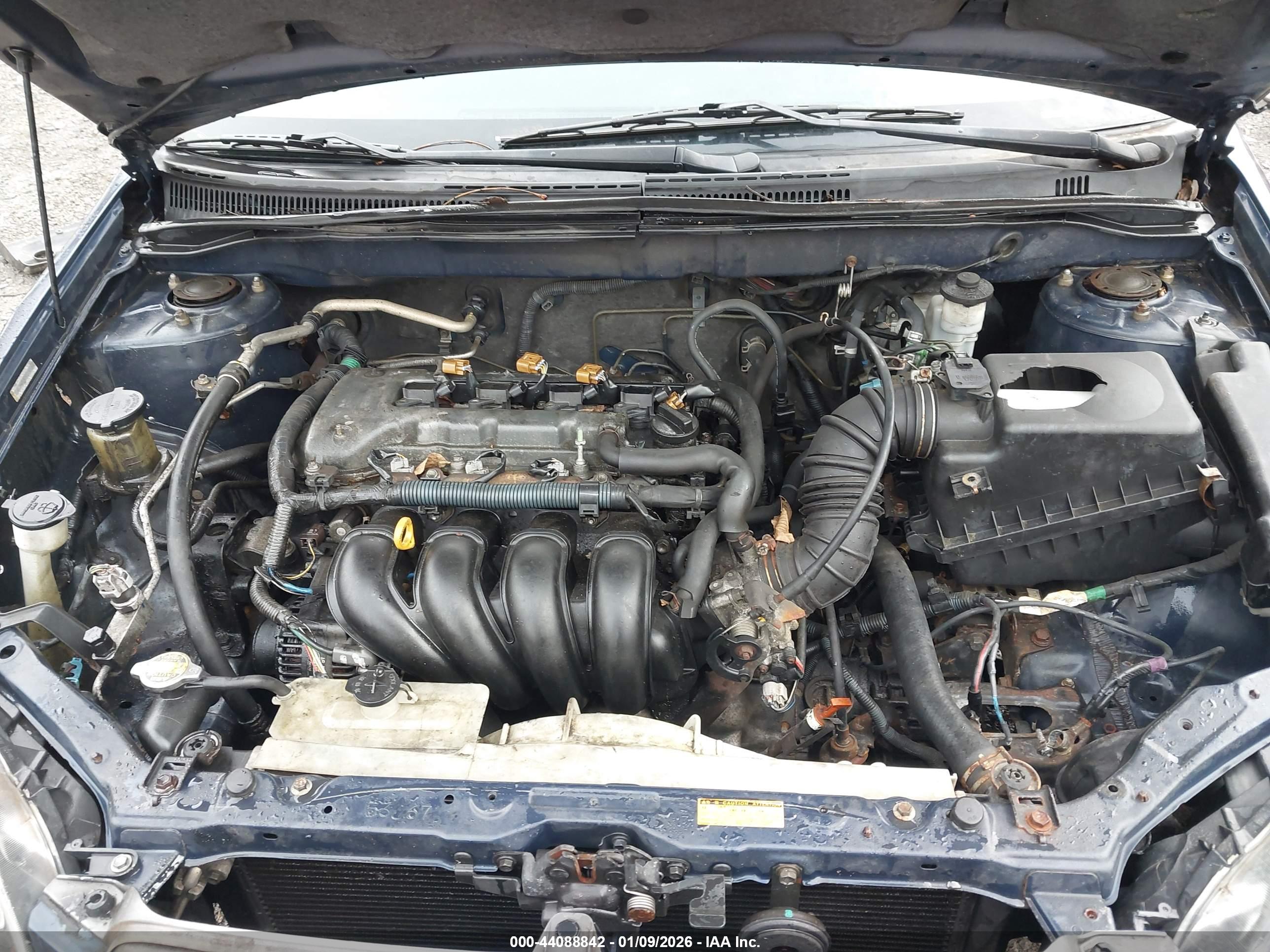 TOYOTA COROLLA image 10