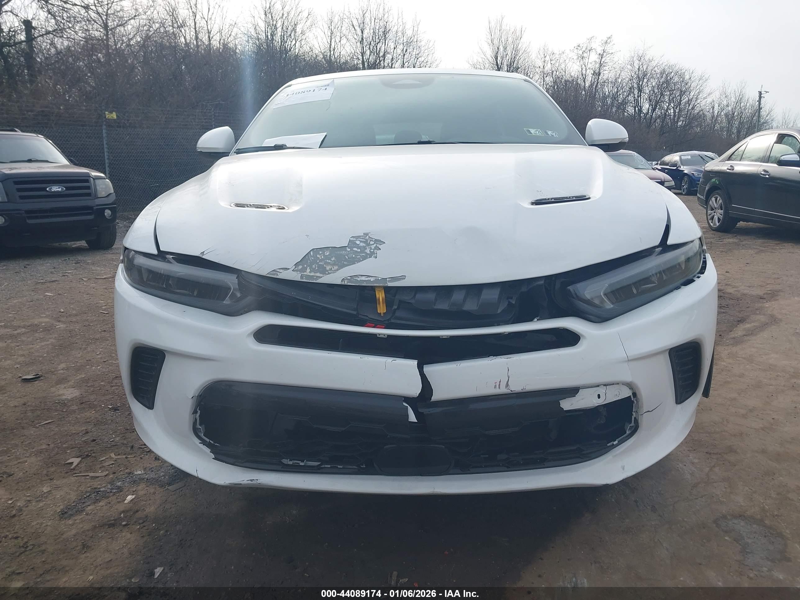 DODGE HORNET image 6