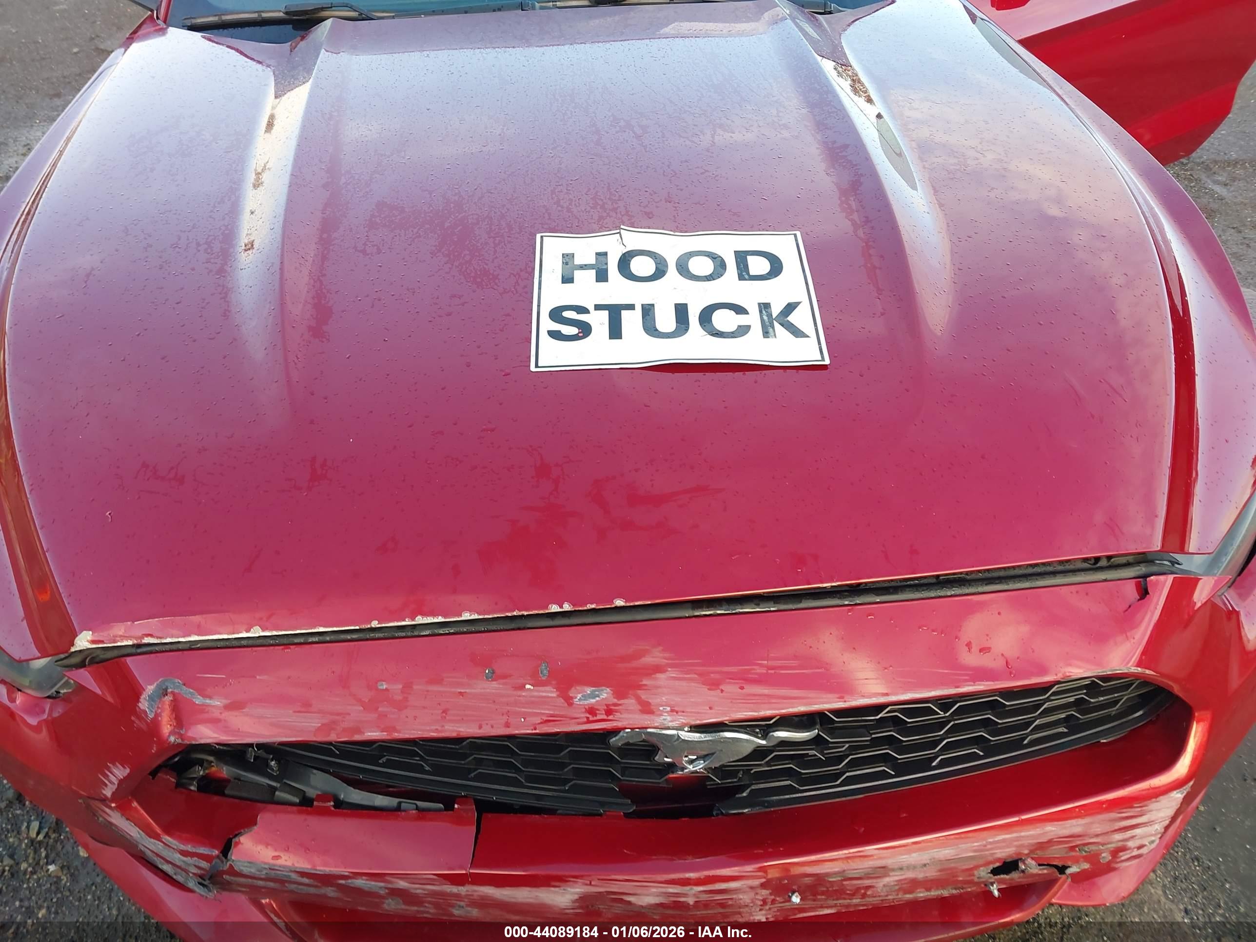 FORD MUSTANG image 10