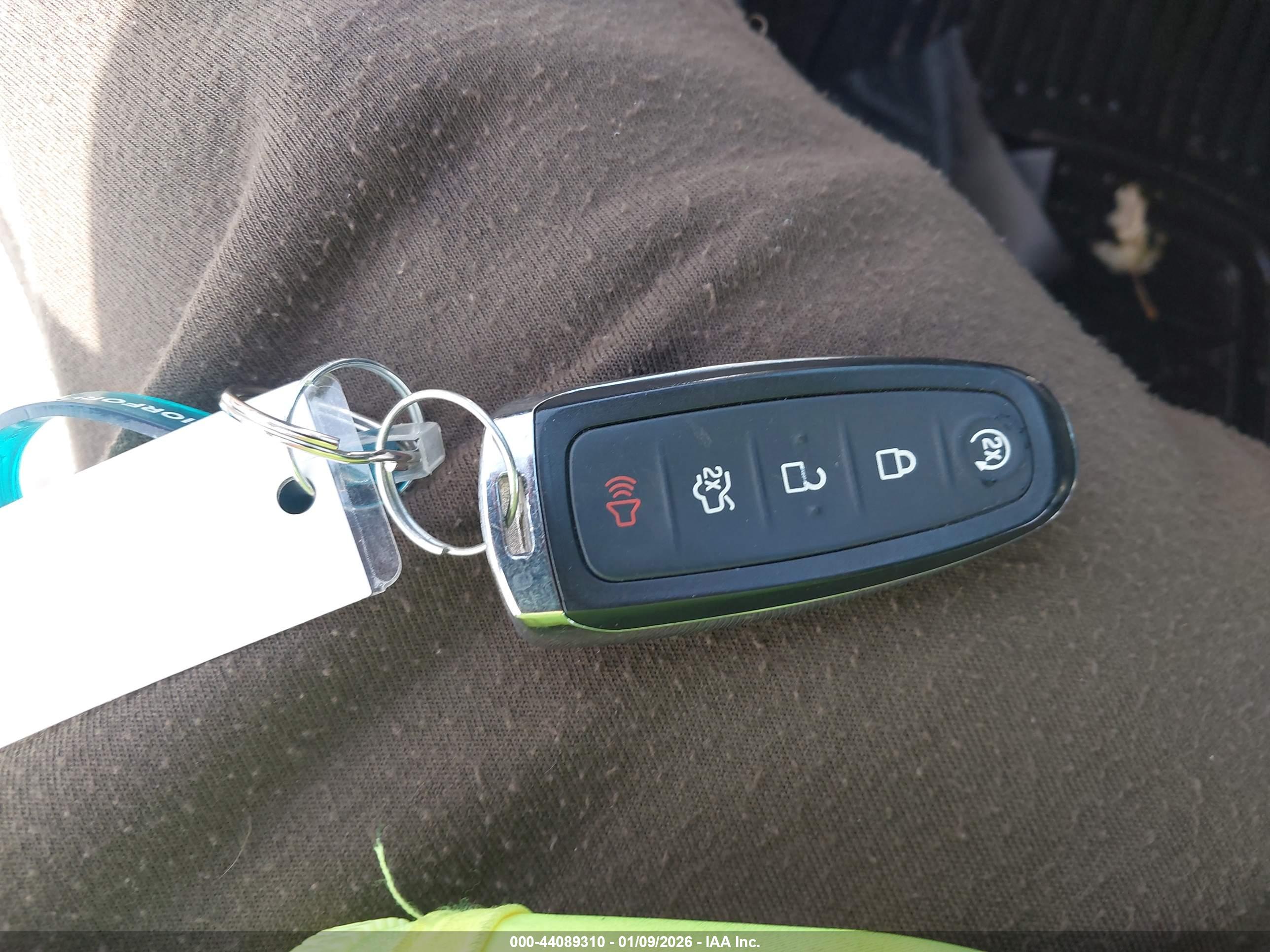 FORD FOCUS image 11