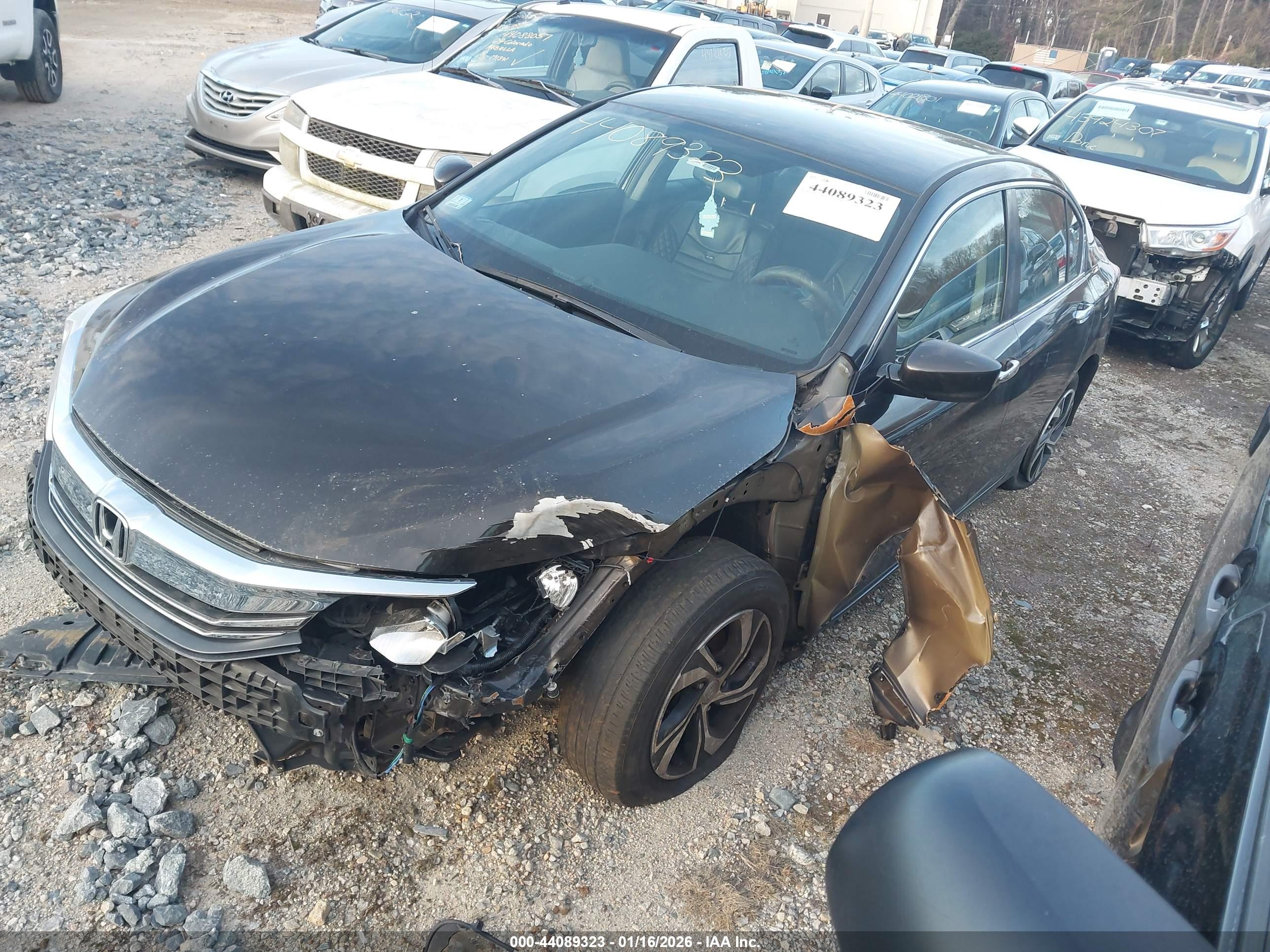 HONDA ACCORD image 2