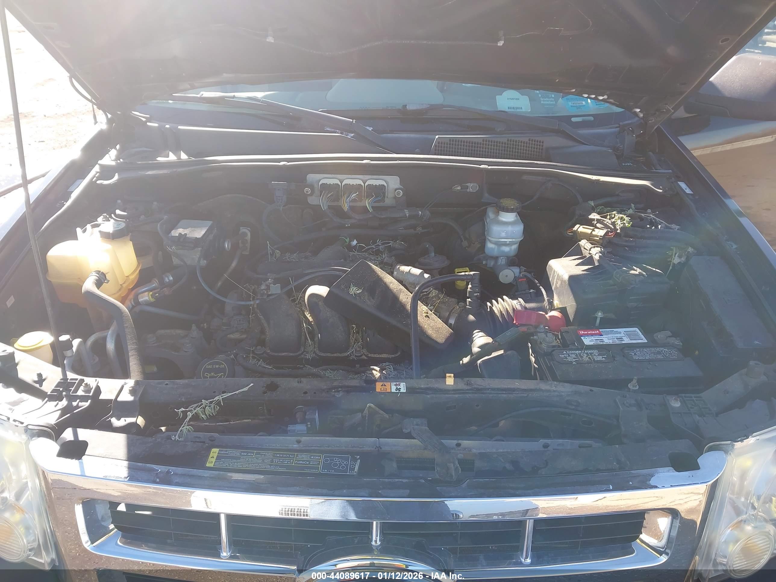 FORD ESCAPE image 10