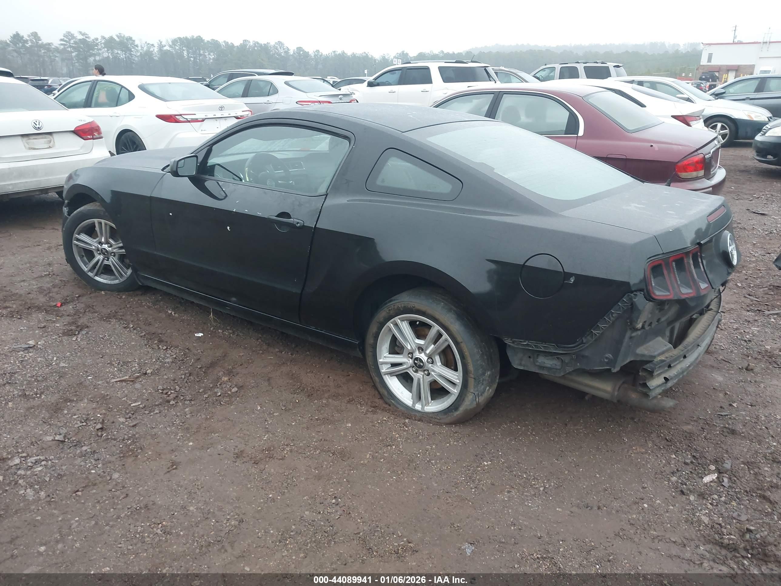 FORD MUSTANG image 3