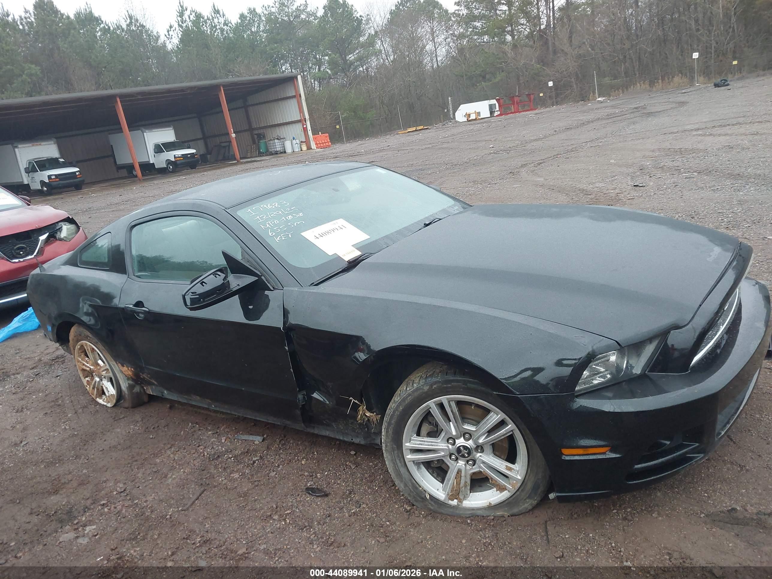 FORD MUSTANG image 6