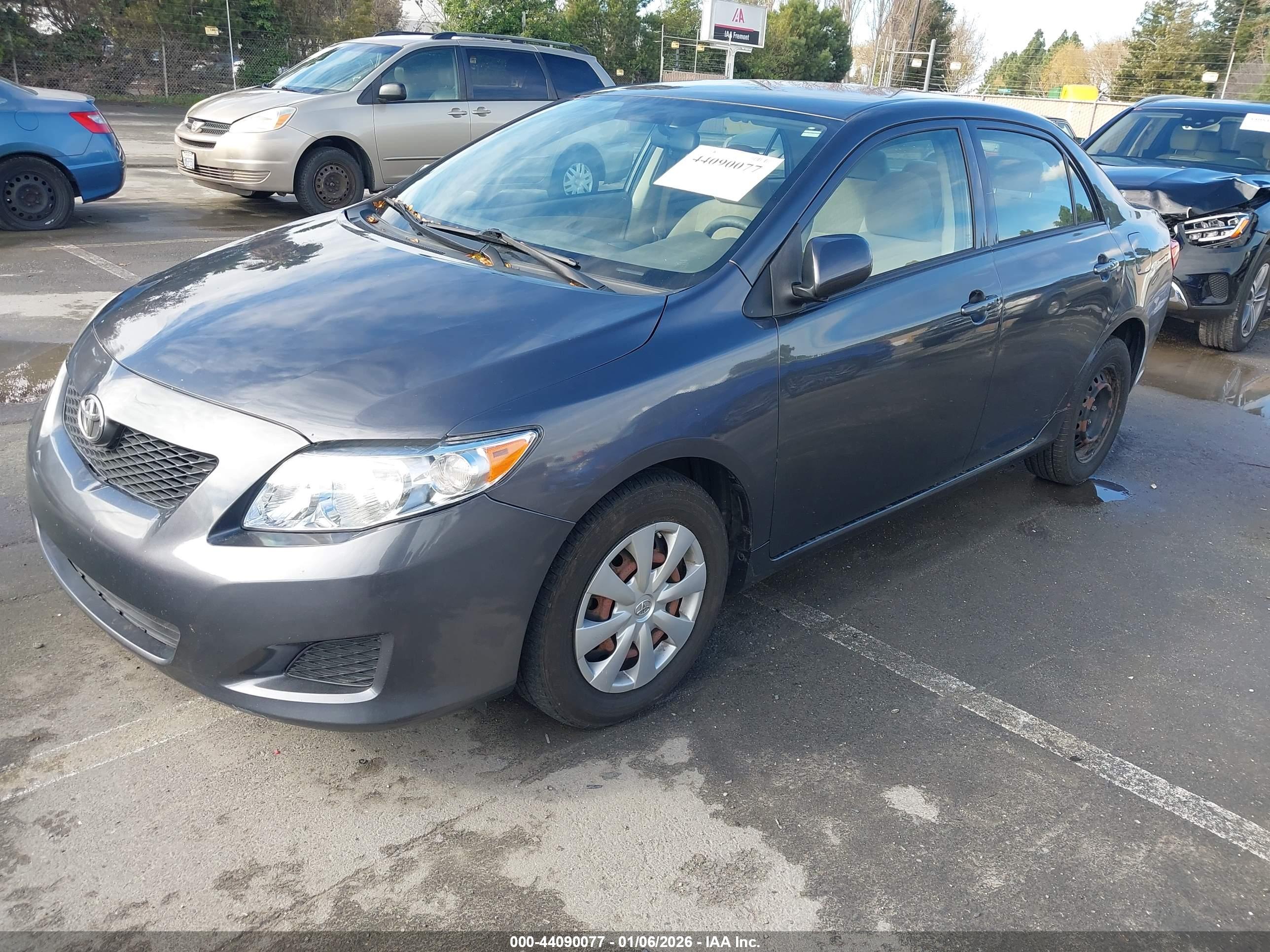 TOYOTA COROLLA image 2