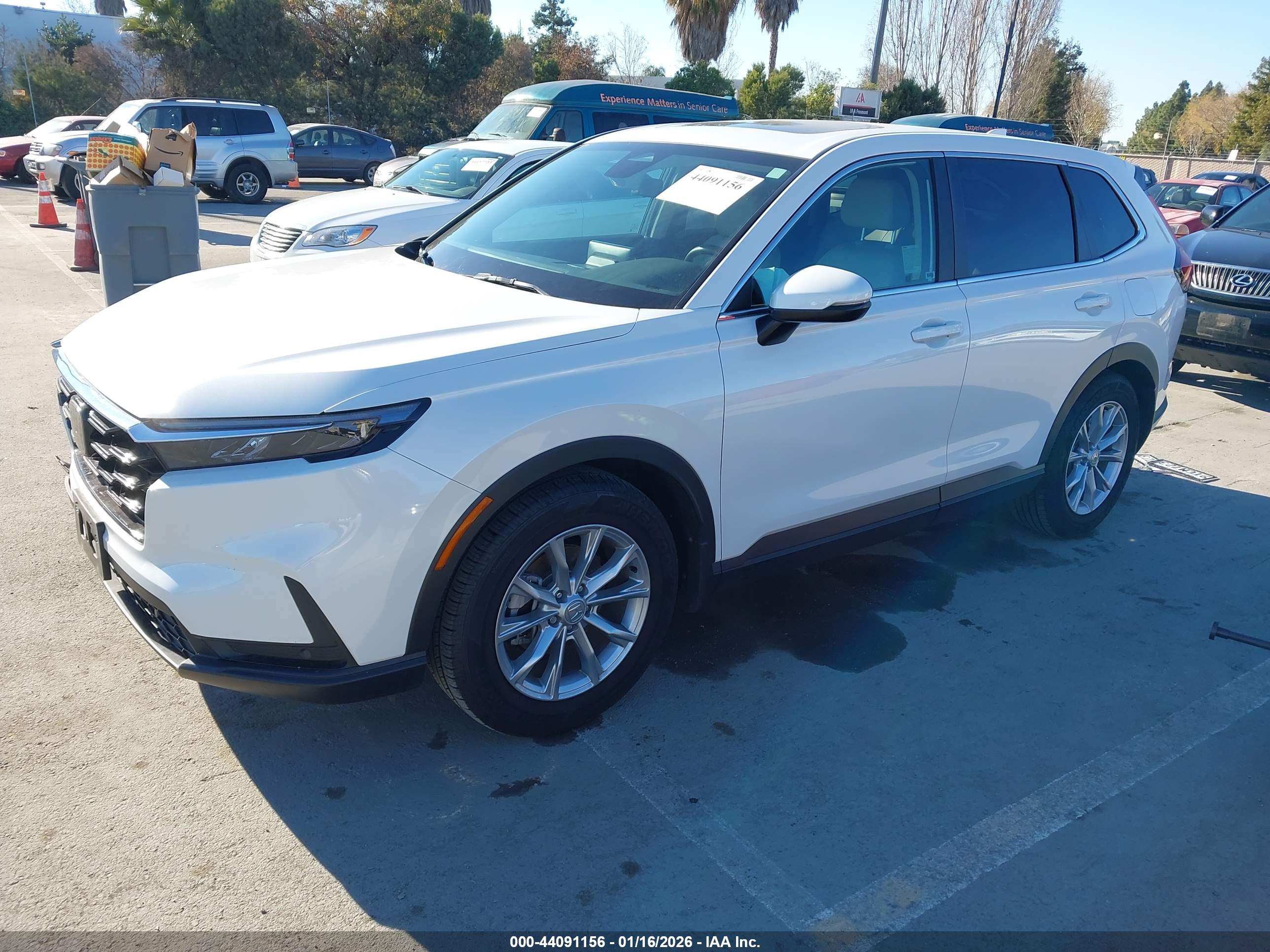 HONDA CR-V image 2