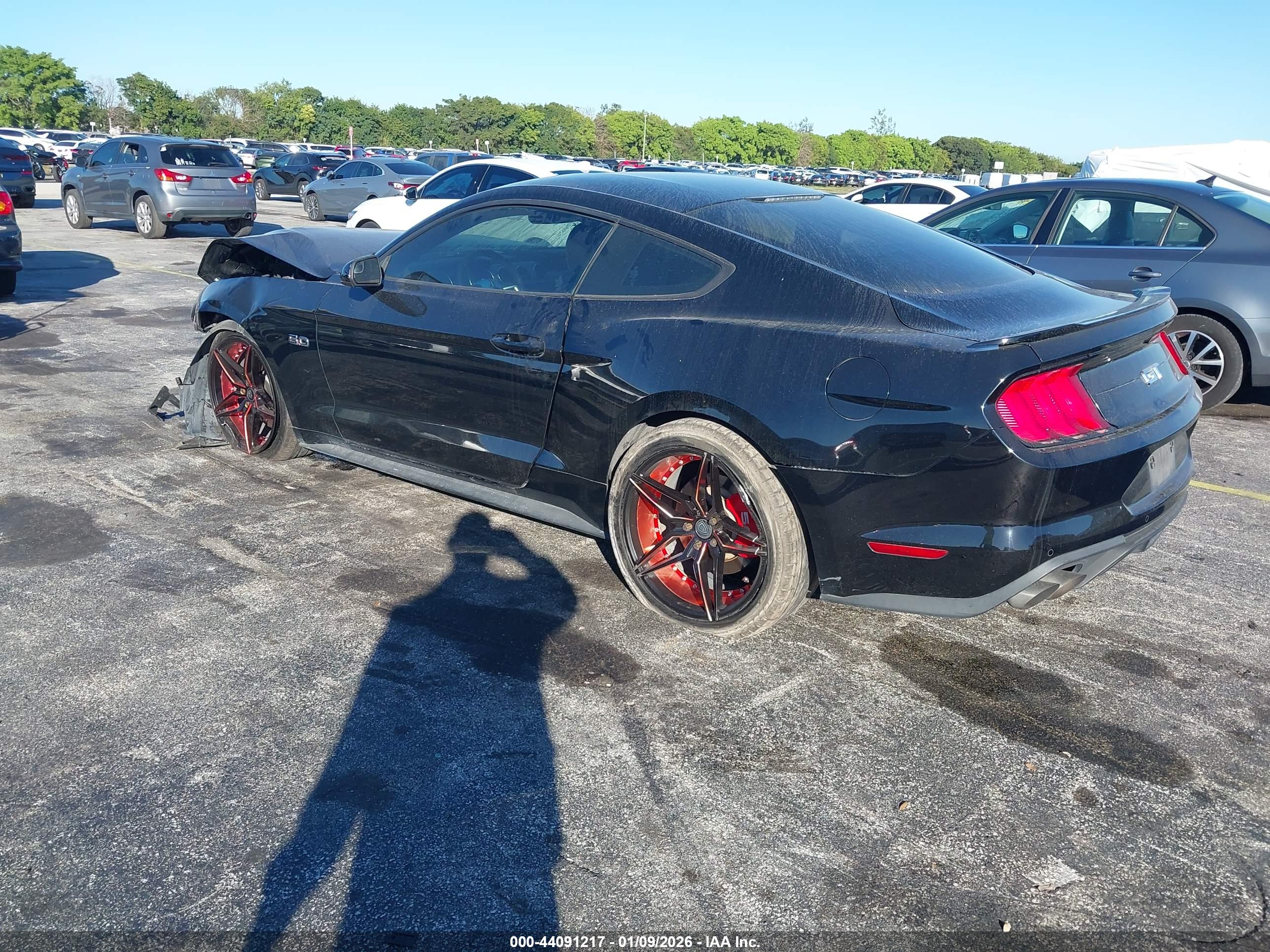 FORD MUSTANG image 3