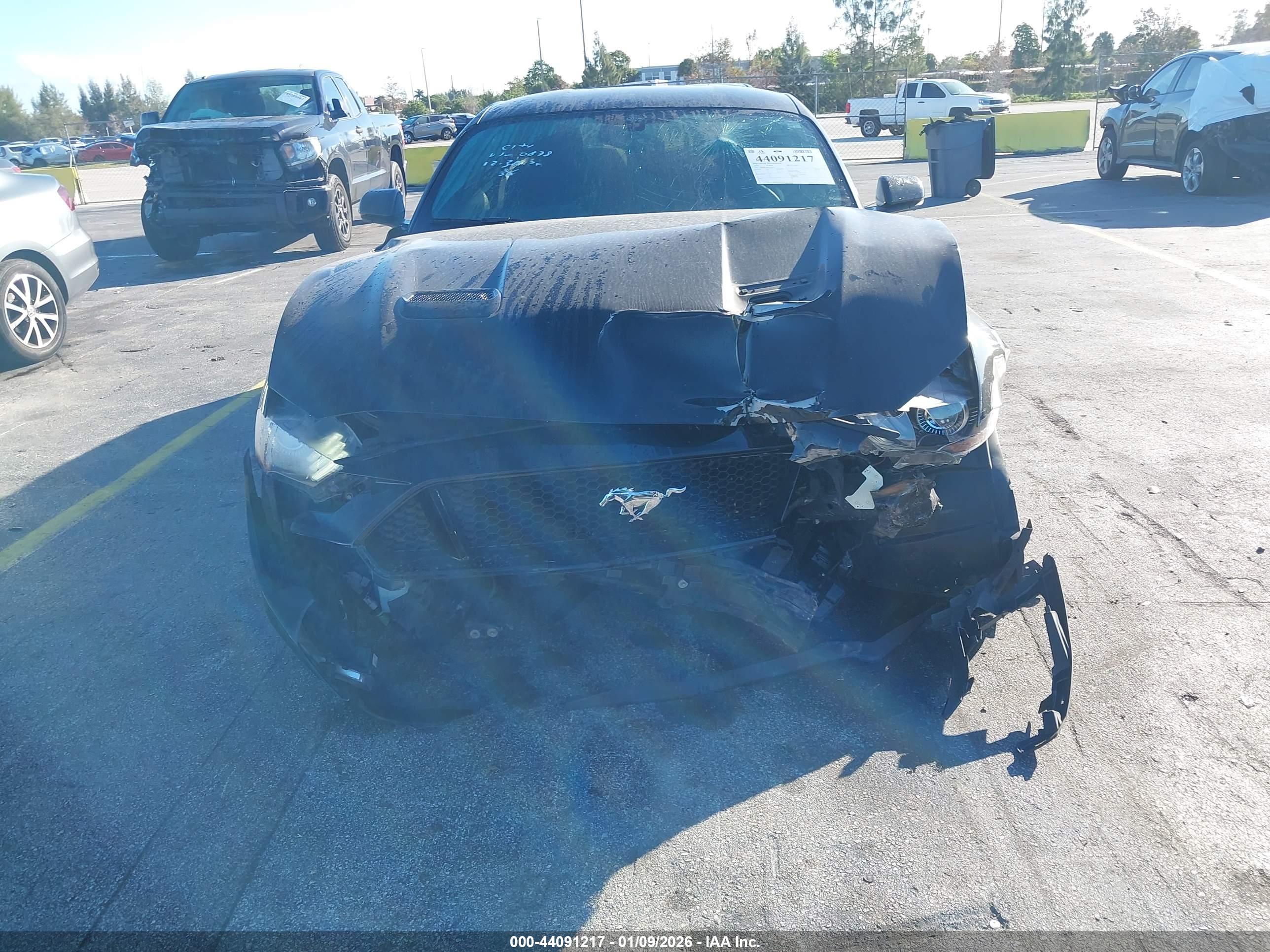 FORD MUSTANG image 6