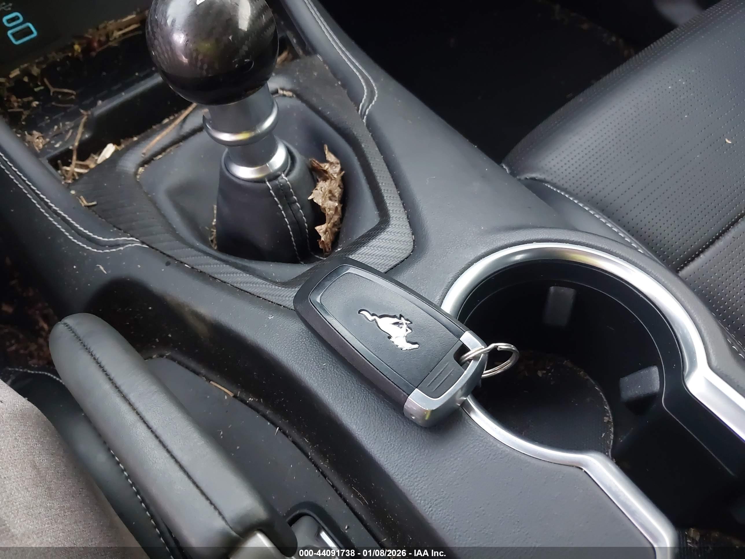FORD MUSTANG image 11